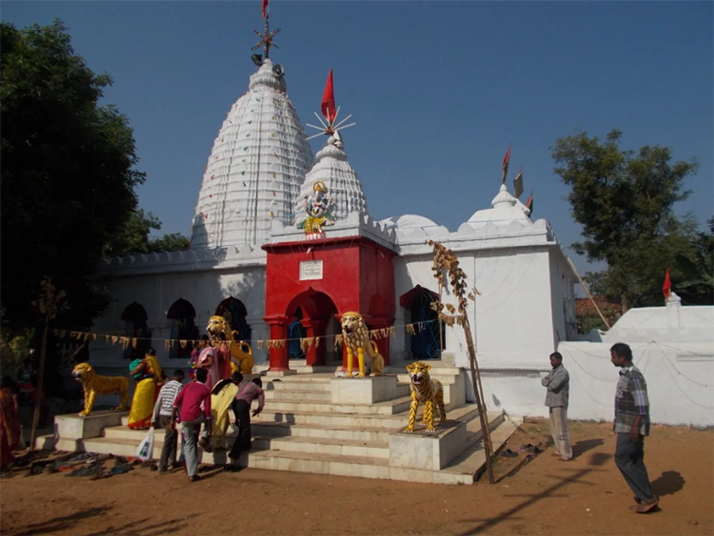 ଲଇଡ଼ା ପ୍ରସିଦ୍ଧ ବଏଲ୍ ଯାତ୍ରା ଆଜି    
