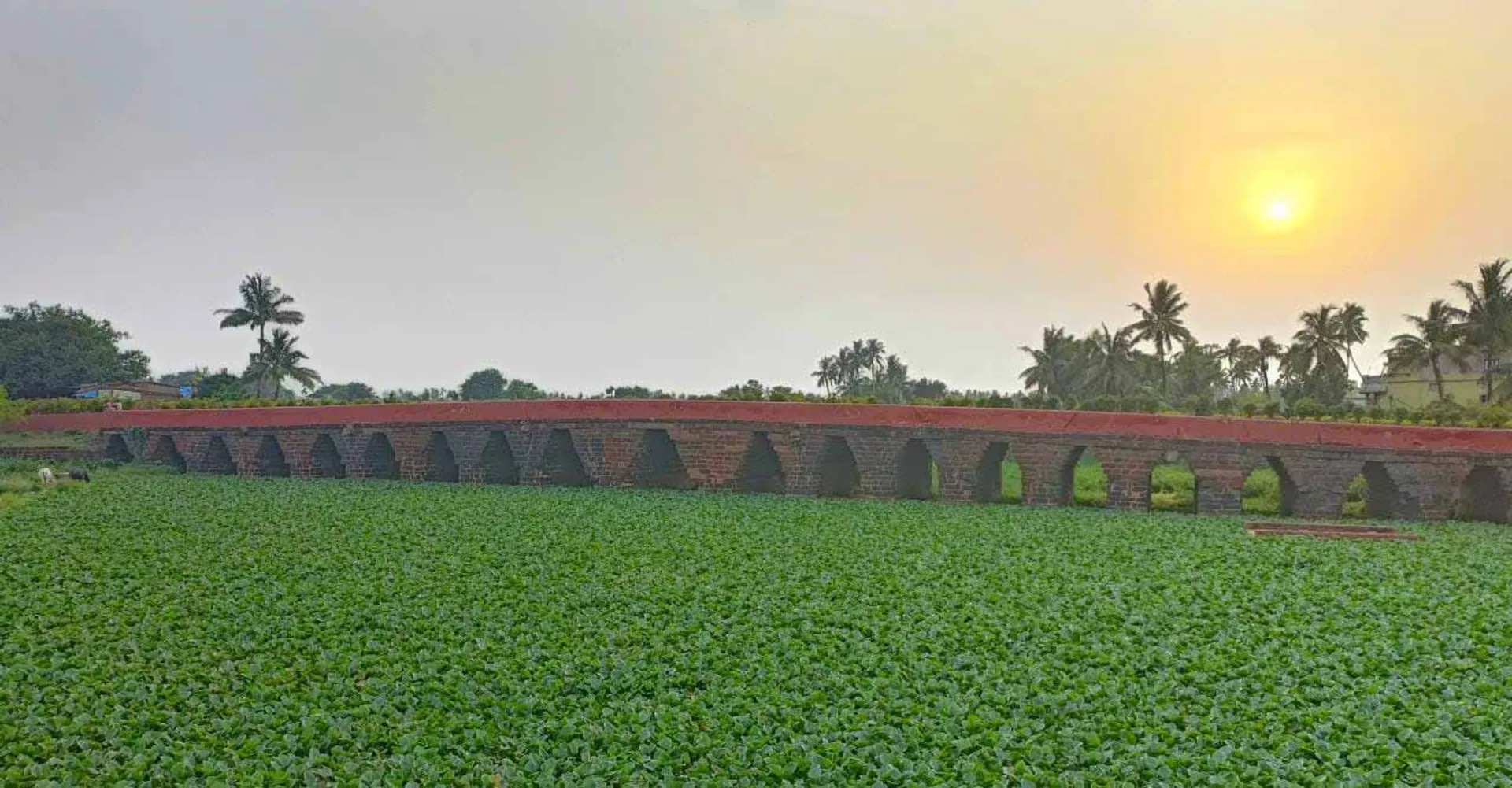 ନୂଆବର୍ଷ ପୂର୍ବରୁ ସଜେଇ ହେବ ଅଠରନଳା