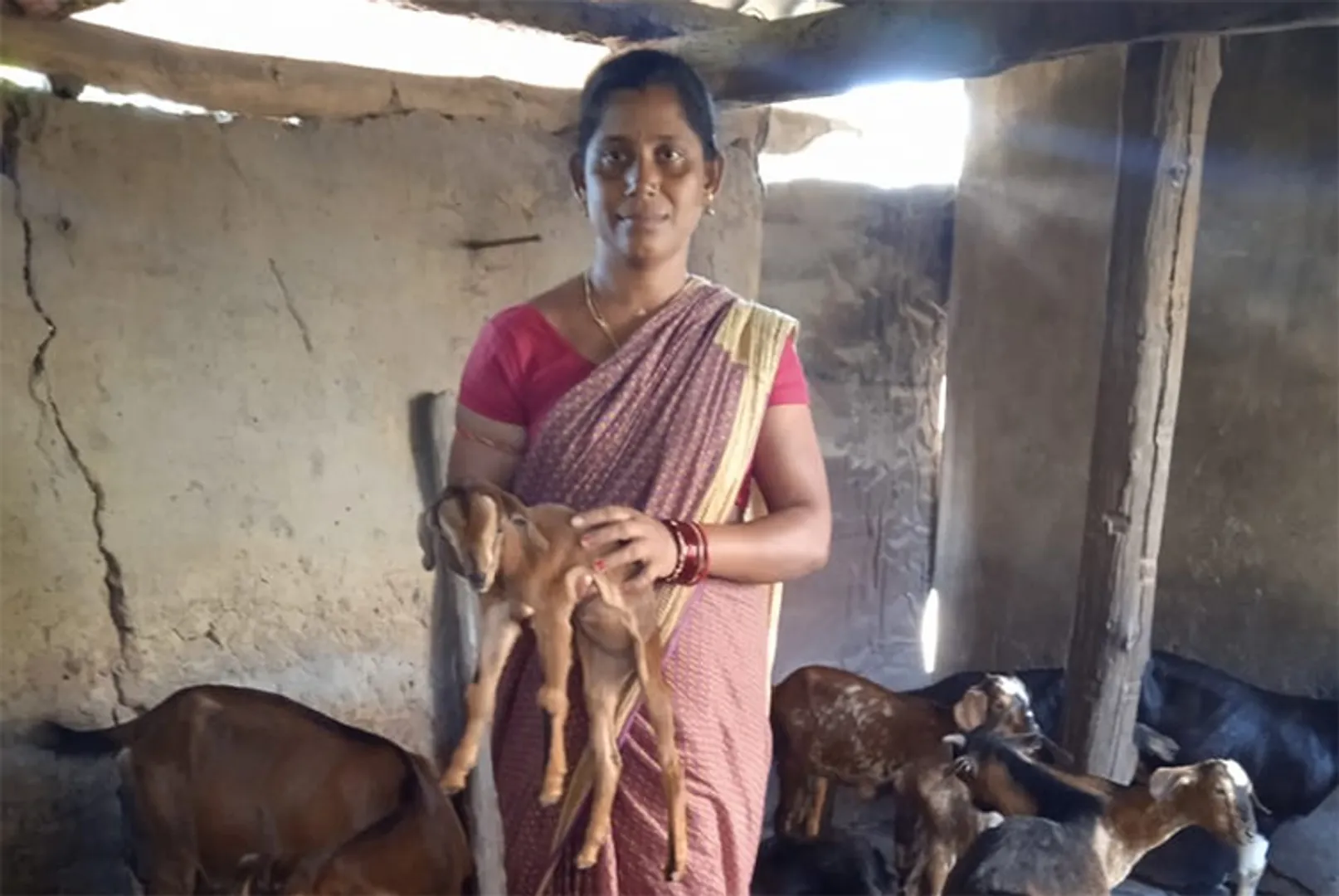 ହାର ମାନିନାହାନ୍ତି ସୁଭଦ୍ରା, ନିଜ ଗୋଡ଼ରେ ନିଜେ ଠିଆ ହୋଇଛନ୍ତି