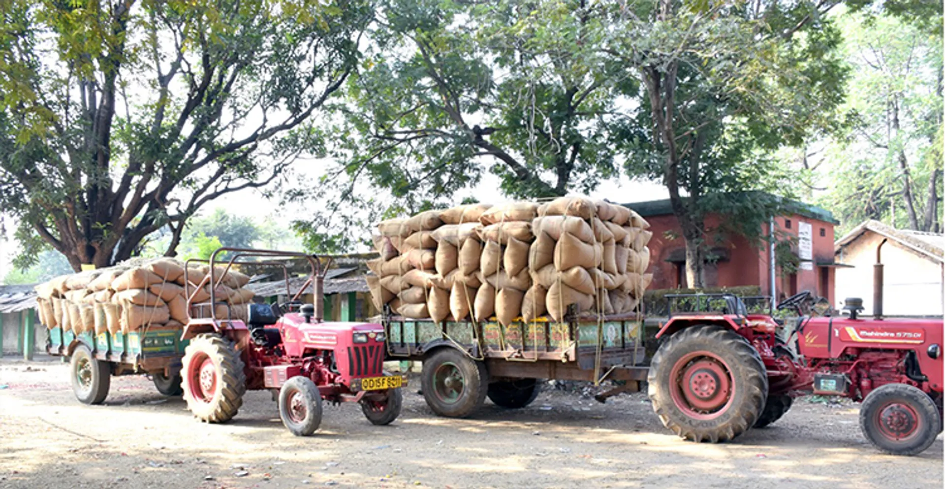 ସମ୍ବଲପୁର ମିଲ୍‌ରେ ସୁନ୍ଦରଗଡ଼ ଜିଲ୍ଲାର ଧାନ !