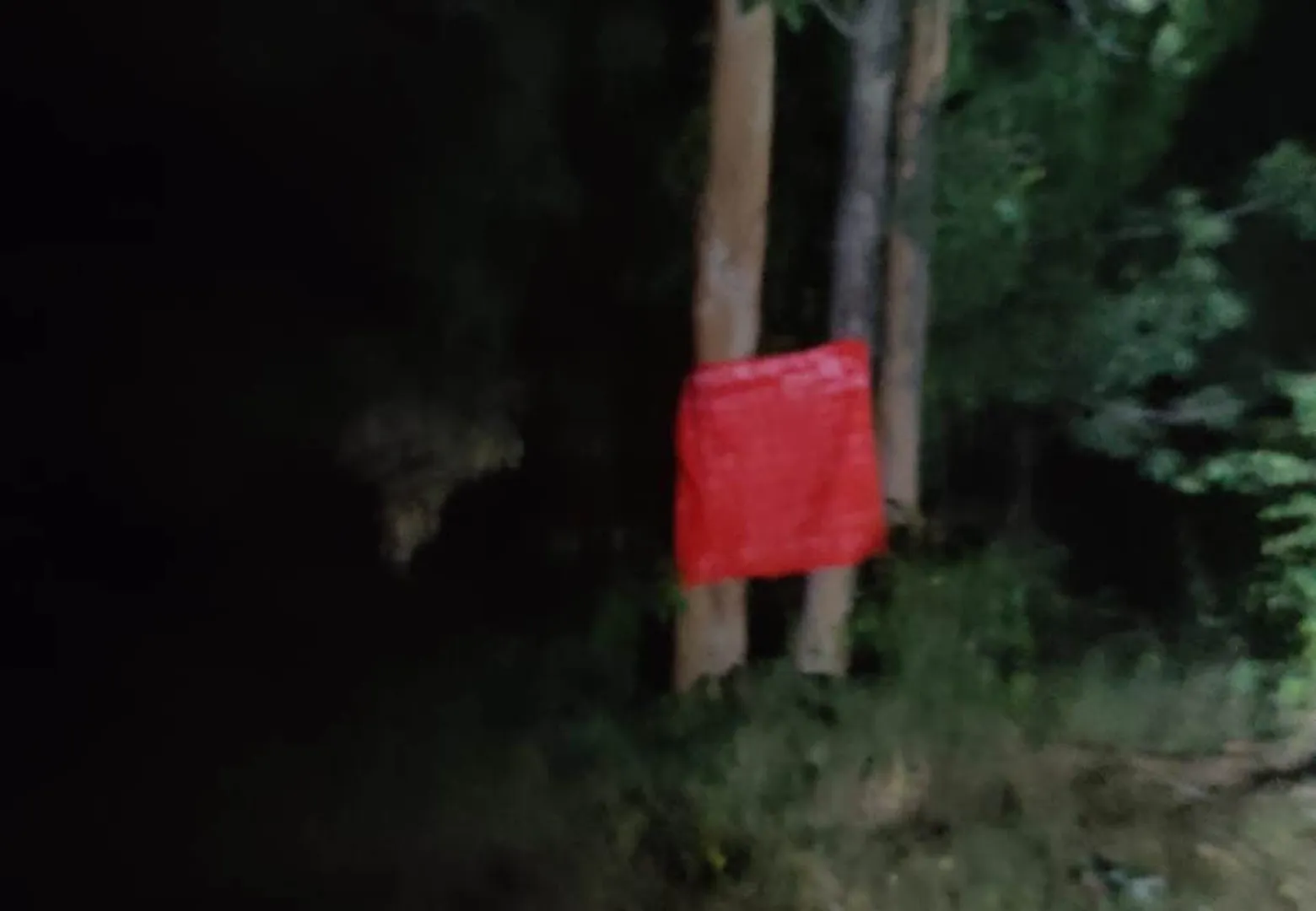 ନିଶାନି ମନ୍ଦିର ପାଖରେ ଲାଗିଲା ମାଓ ପୋଷ୍ଟର