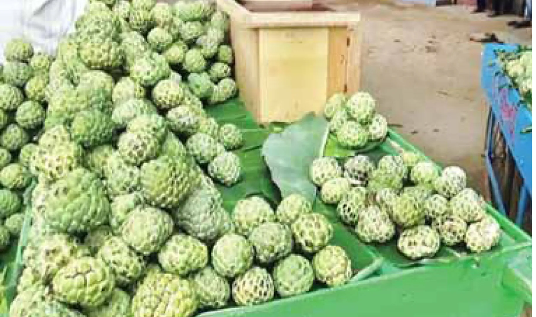 ରାୟଗଡ଼ାର ସ୍ବାଦିଷ୍ଟ ଆତକୁ ମିଳୁନି ବଜାର: ଓଡ଼ିଶାରେ ହତାଦର, ଆନ୍ଧ୍ରରେ ଆଦର