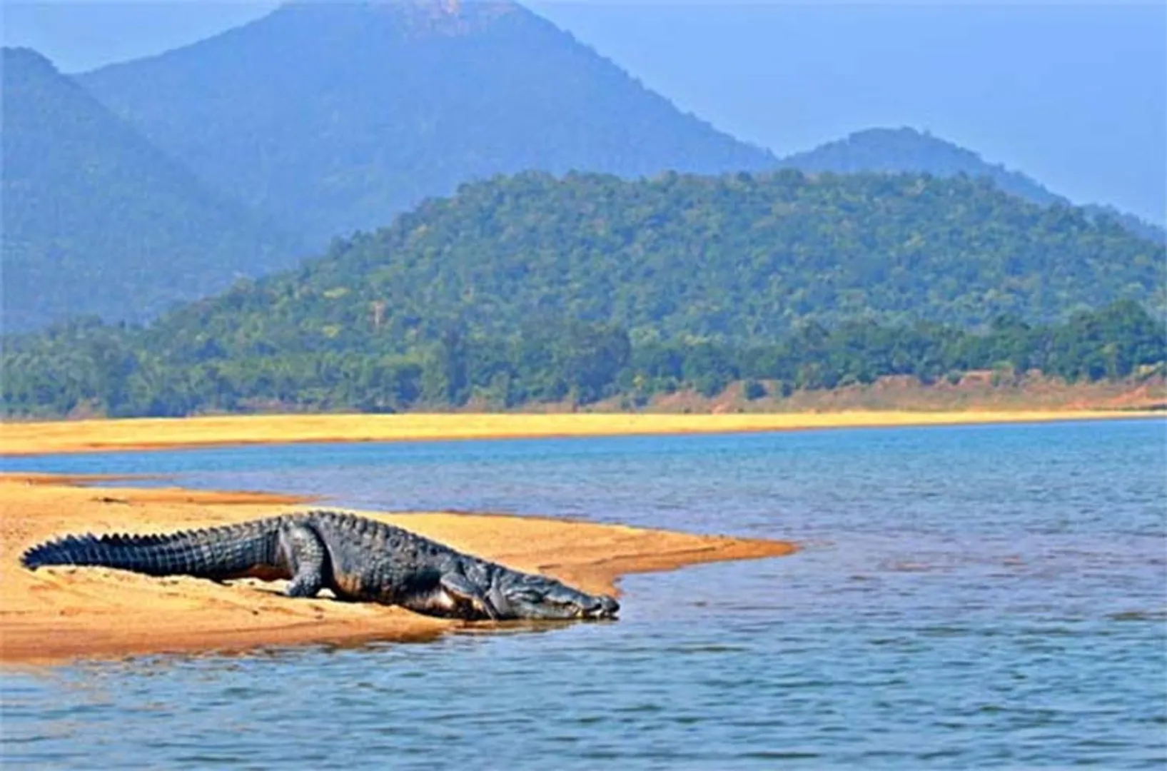 ଅଭୟାରଣ୍ୟରେ ୩୫୮କୋଟିର ଜଳ ପ୍ରକଳ୍ପ