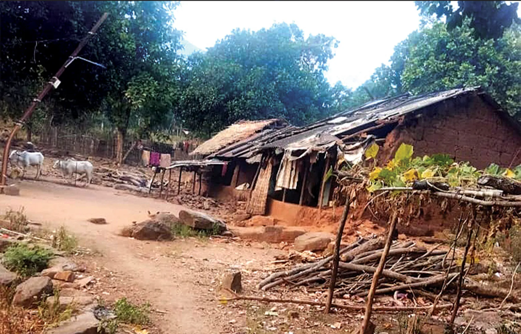 ତିନି ପଞ୍ଚାୟତର ୫୦ ଆଦିବାସୀ ଗାଁକୁ ଆଜି ବି ଡିବିରି ଭରସା