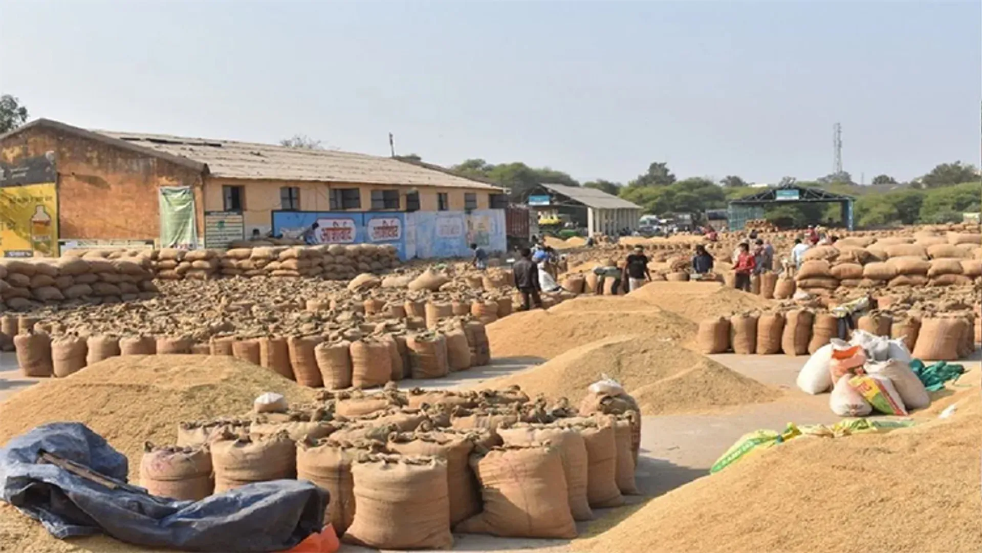 ୨୮ରୁ ଧାନକିଣା ଆରମ୍ଭ, ପ୍ରଥମ ପର୍ଯ୍ୟାୟରେ ଖର୍ଦ୍ଦି ହେବ ୨୩.୫୦ ଲକ୍ଷ କୁଇଣ୍ଟାଲ୍‌