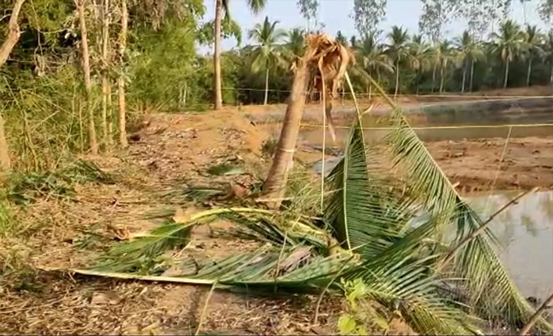 ଥମୁନି ହାତୀପଲ ଉପଦ୍ରବ, ଫାର୍ମହାଉସ୍‌ରେ ବ୍ୟାପକ ଭଙ୍ଗାରୁଜା