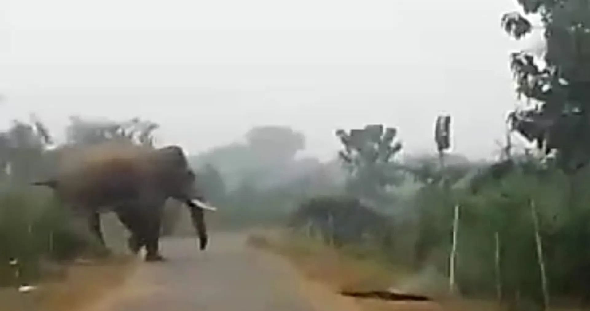 ଗାଧୋଇ ଫେରୁଥିବା ବେଳେ ଶୁଣ୍ଢରେ ଠେଲି ଦେଲା ଦନ୍ତା, ଆହତ ବ୍ୟକ୍ତିଙ୍କୁ ଡାକ୍ତରଖାନାରେ ଭର୍ତ୍ତି