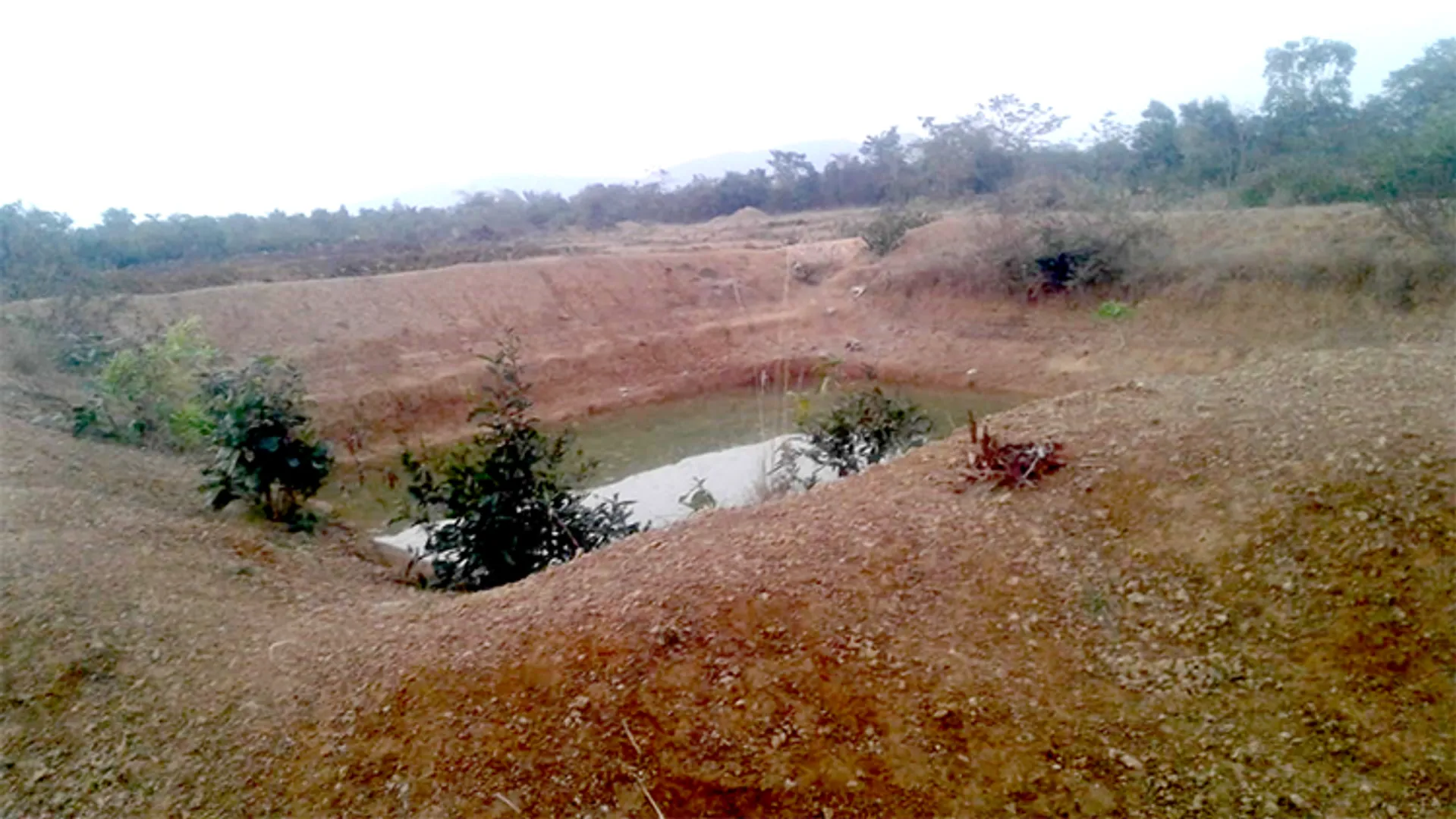 କ୍ଷେତ ପୋଖରୀ ଦୁର୍ନୀତି: ସରକାରୀ ଜମିରେ ପୋଖରୀ ଖୋଳି ୱାର୍ଡ଼ସଭ୍ୟଙ୍କ ନାମରେ ବିଲ୍