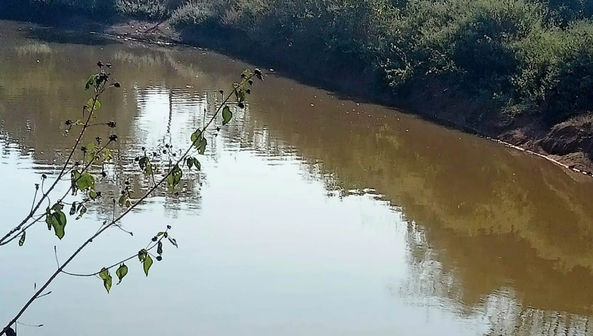 ପୋଖରୀରେ ବୁଡ଼ି ୨ ନାବାଳିକା ମୃତ