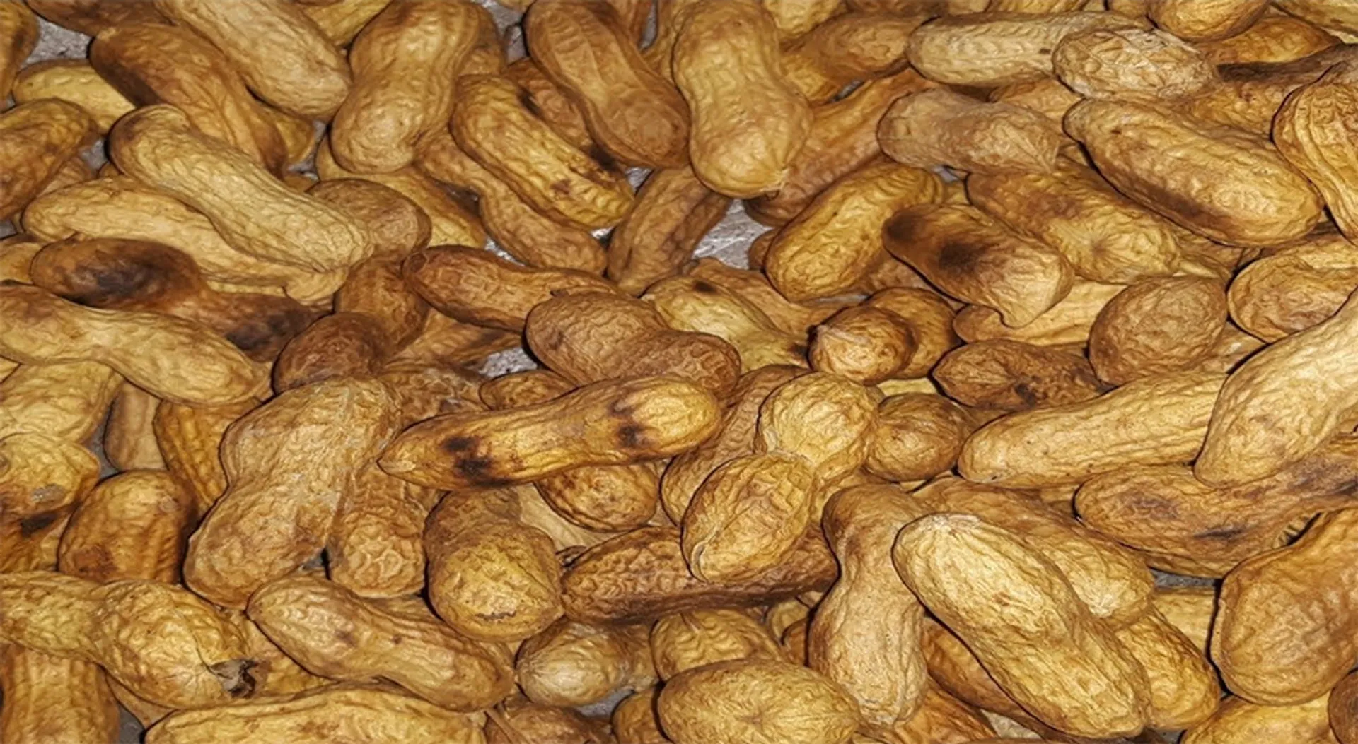 ଟ୍ରେନ୍‌ରେ ବାଦାମ ଖାଇ ଜଣେ ଅଚେତ