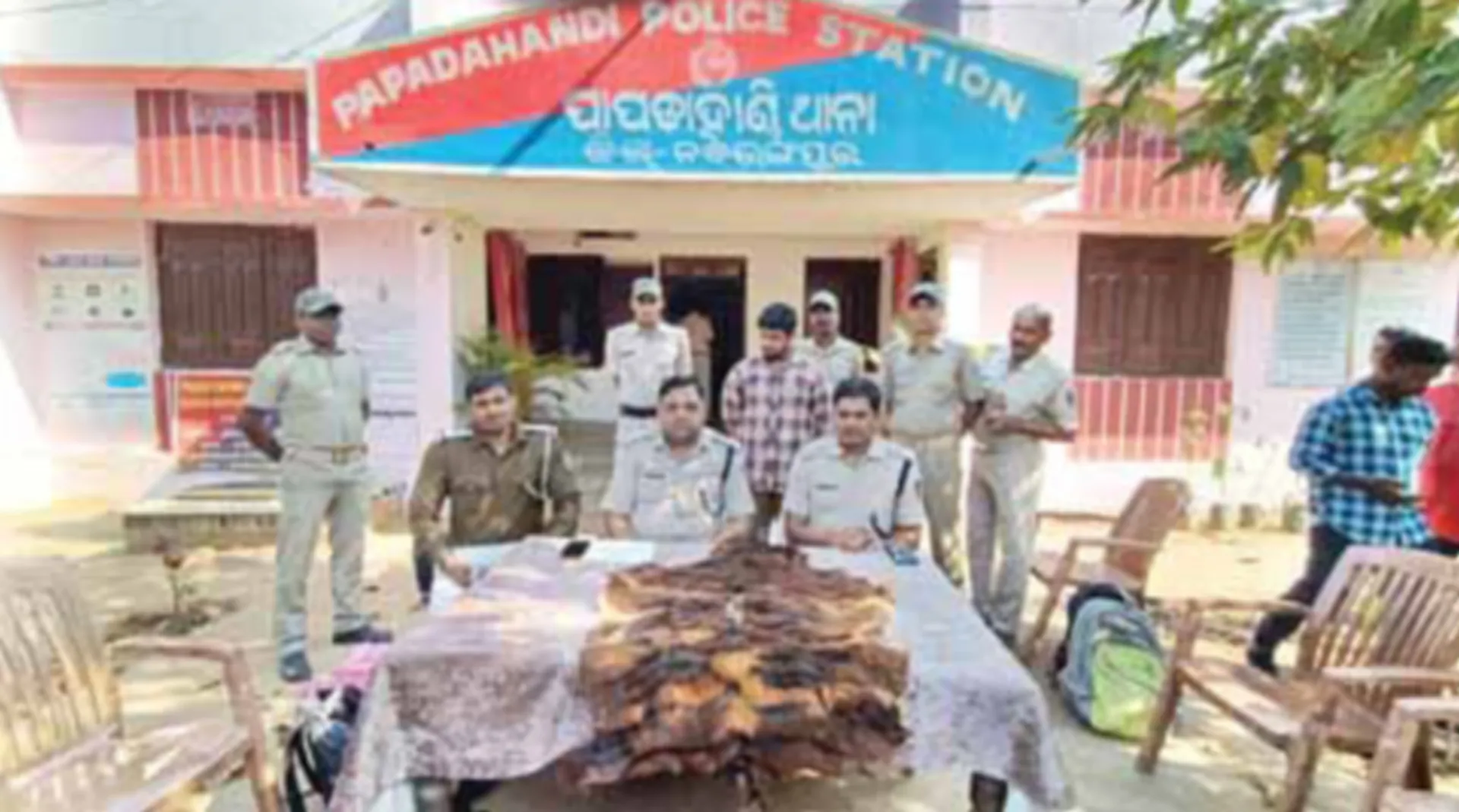 ମହାବଳ ବାଘ ଛାଲ ଜବତ, ମୂଲଚାଲ ବେଳେ ‌ମାଡ଼ି ବସିଲା ପୁଲିସ