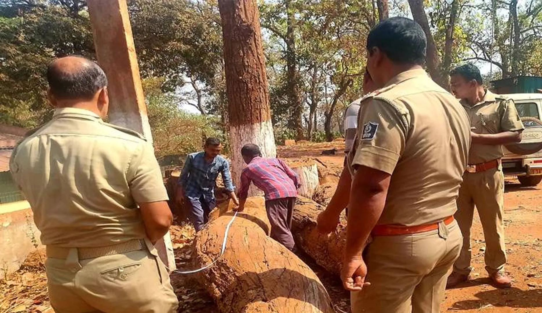 ୩.୫ ଲକ୍ଷ ଟଙ୍କାର ଶାଳଗଣ୍ଡି ଜବତ