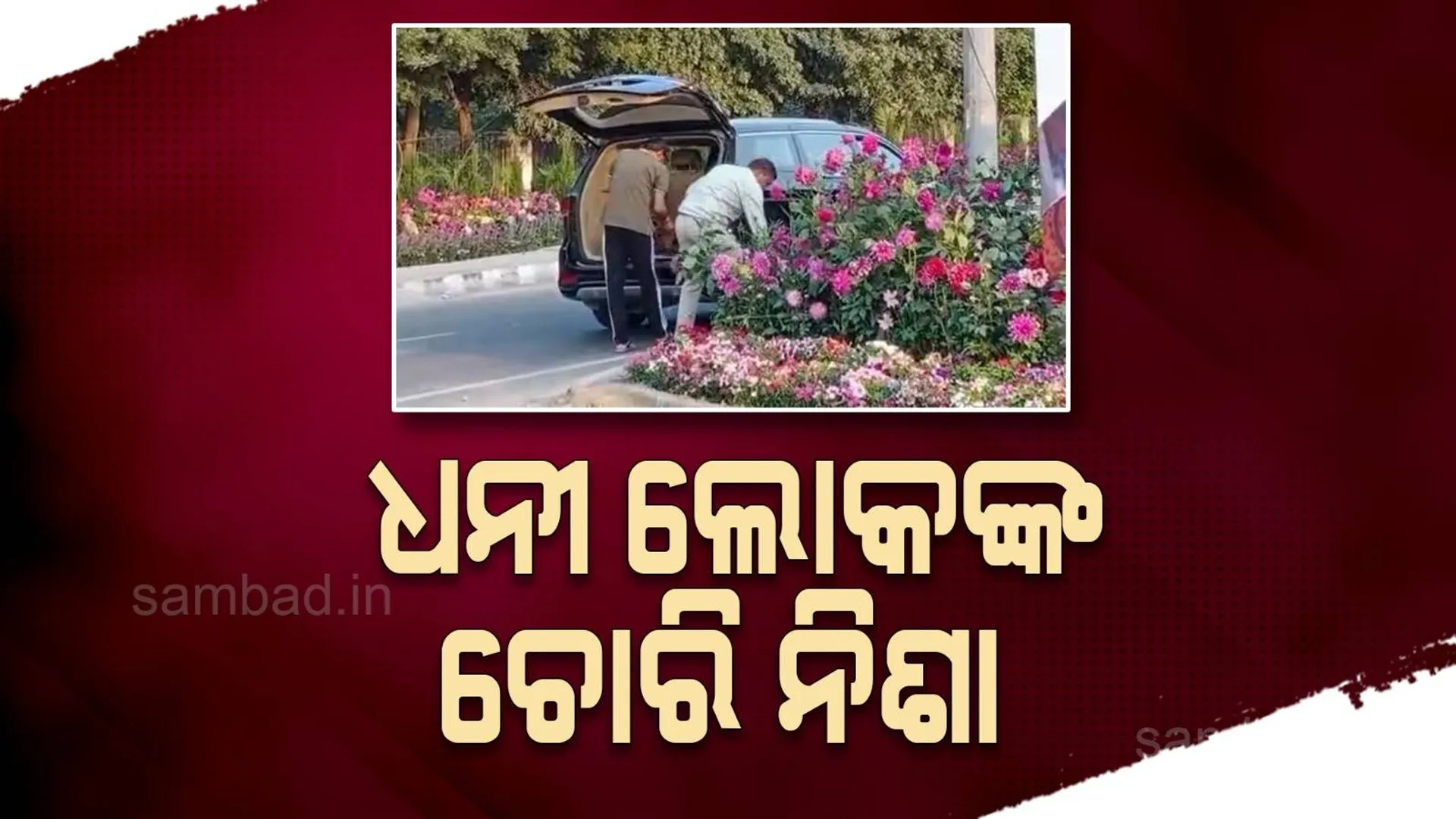 ଦାମୀ କାରରେ ଆସିଲେ, ଫୁଲକୁଣ୍ଡ ବୋହିନେଲେ: ଦେଖନ୍ତୁ ଭିଡିଓ