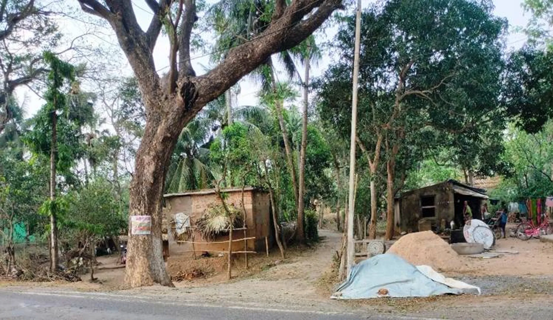 ମଦ ବେପାର ପାଇଁ ମିଛ ରିପୋର୍ଟ