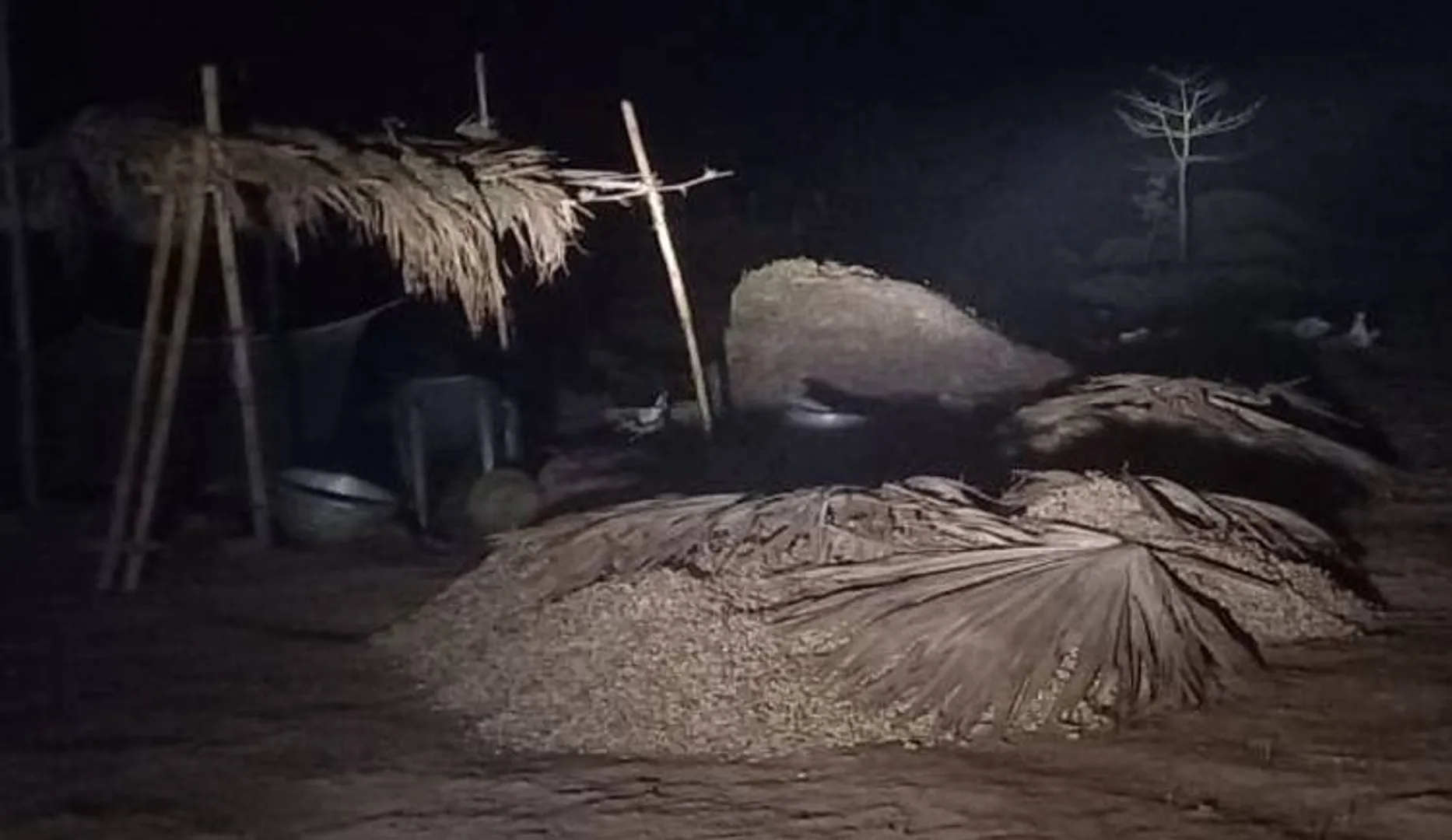 ଜଳାଭାବରୁ ଫମ୍ପା ହୋଇଗଲା ଚିନାବାଦାମ, ଏକର ପିଛା ଅମଳ କମିଲା