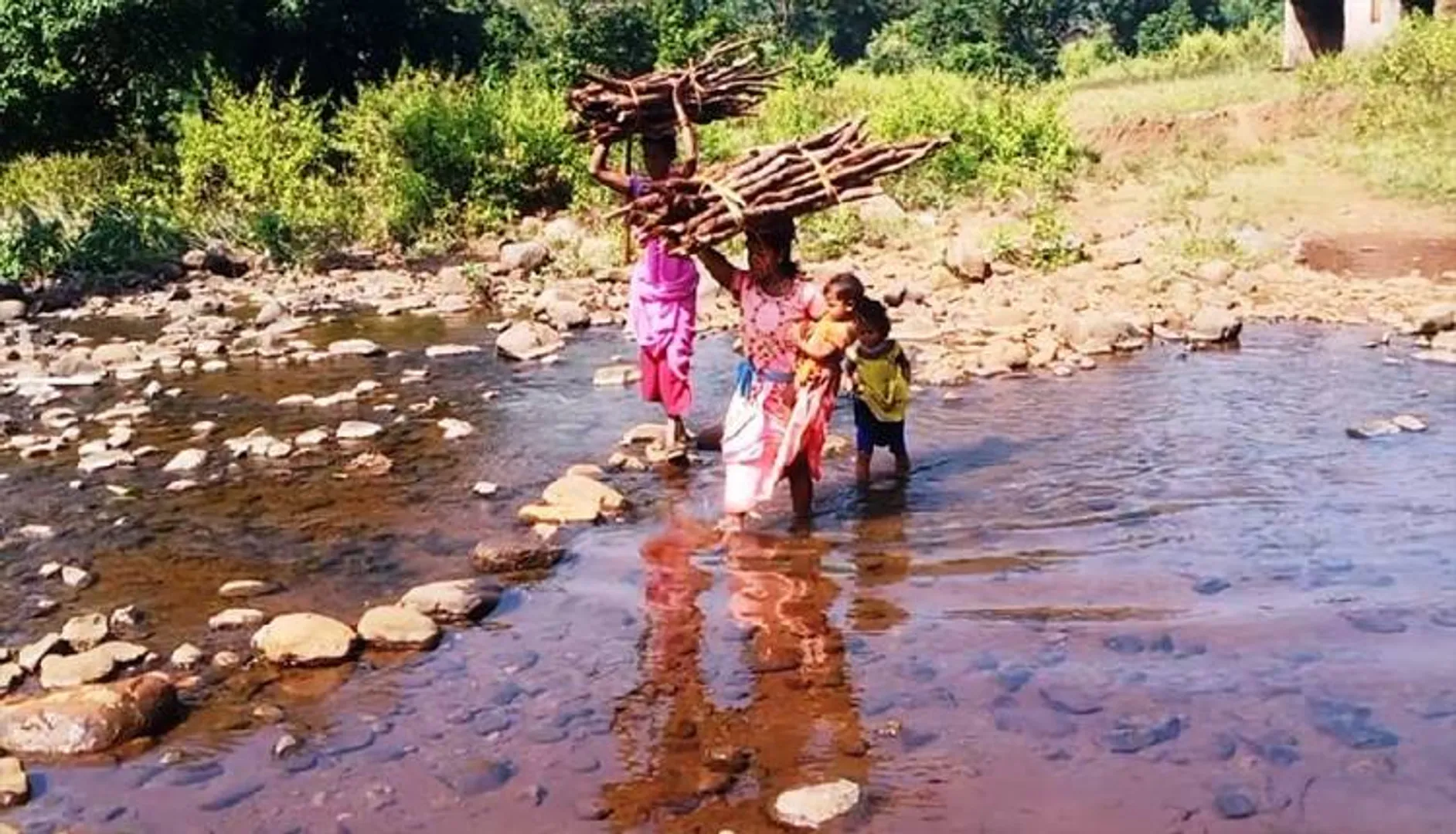 ଅପହଞ୍ଚ  ବିଜ୍ରାଦର, ନିଷ୍ପେସିତ ଆଦିବାସୀ
