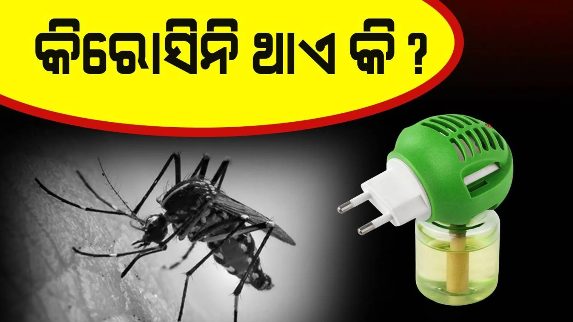 ମଶାଙ୍କୁ ମାରିବାକୁ ବ୍ୟବହୃତ ଲିକ୍ୱିଡ଼ରେ ଥାଏ କିରୋସିନି !