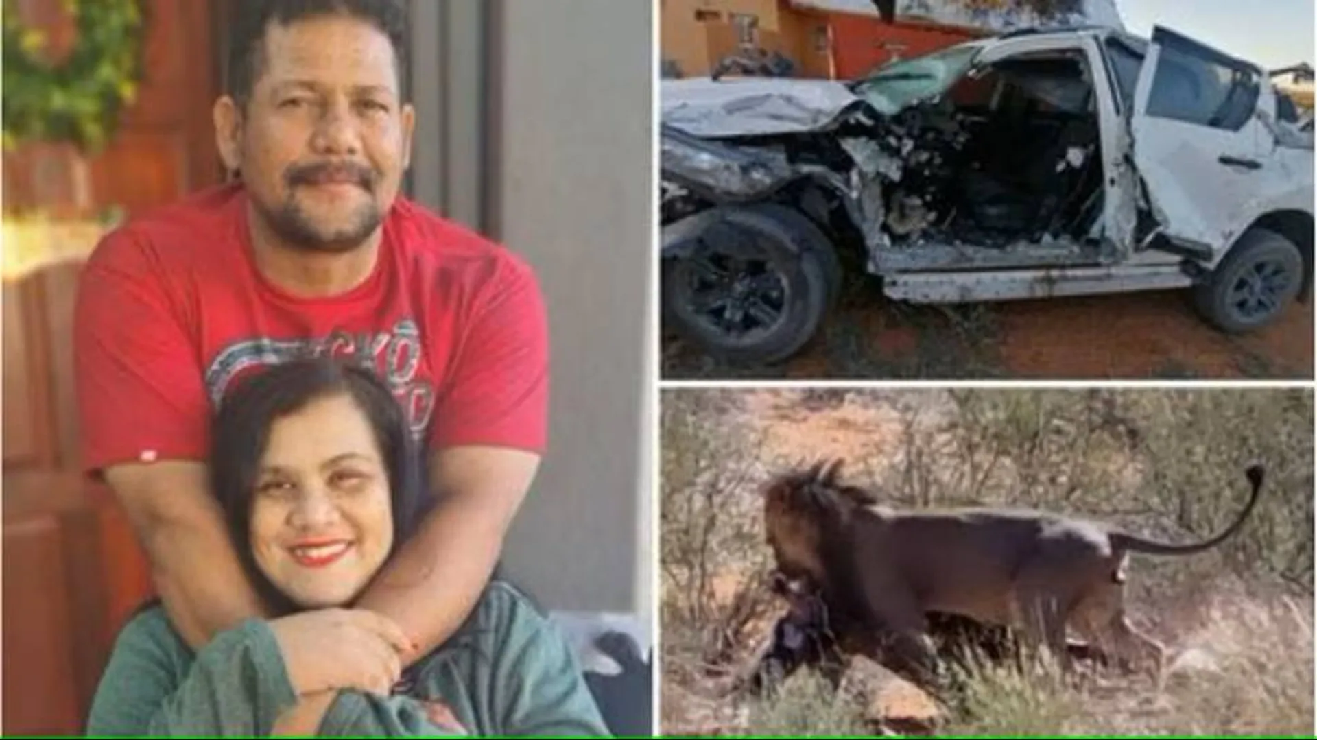 ଭୟାବହ ଦୁର୍ଘଟଣାର ଶିକାର ହେବାପରେ ଦମ୍ପତିଙ୍କୁ ଘେରି ଯାଇଥିଲେ ସିଂହଦଳ, ଏପରି ବଞ୍ଚିଲା ଜୀବନ