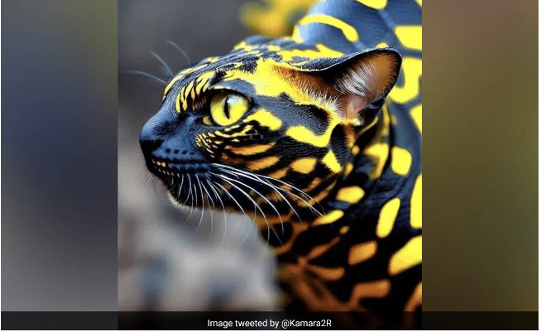 ଭାଇରାଲ୍ ହେଉଛି ସାପ ପରି ଦେଖାଯାଉଥିବା ବିରଳ ପ୍ରଜାତିର ବିଲେଇର ଛବି, ଲୋକେ କହିଲେ ଫଟୋ ନକଲି