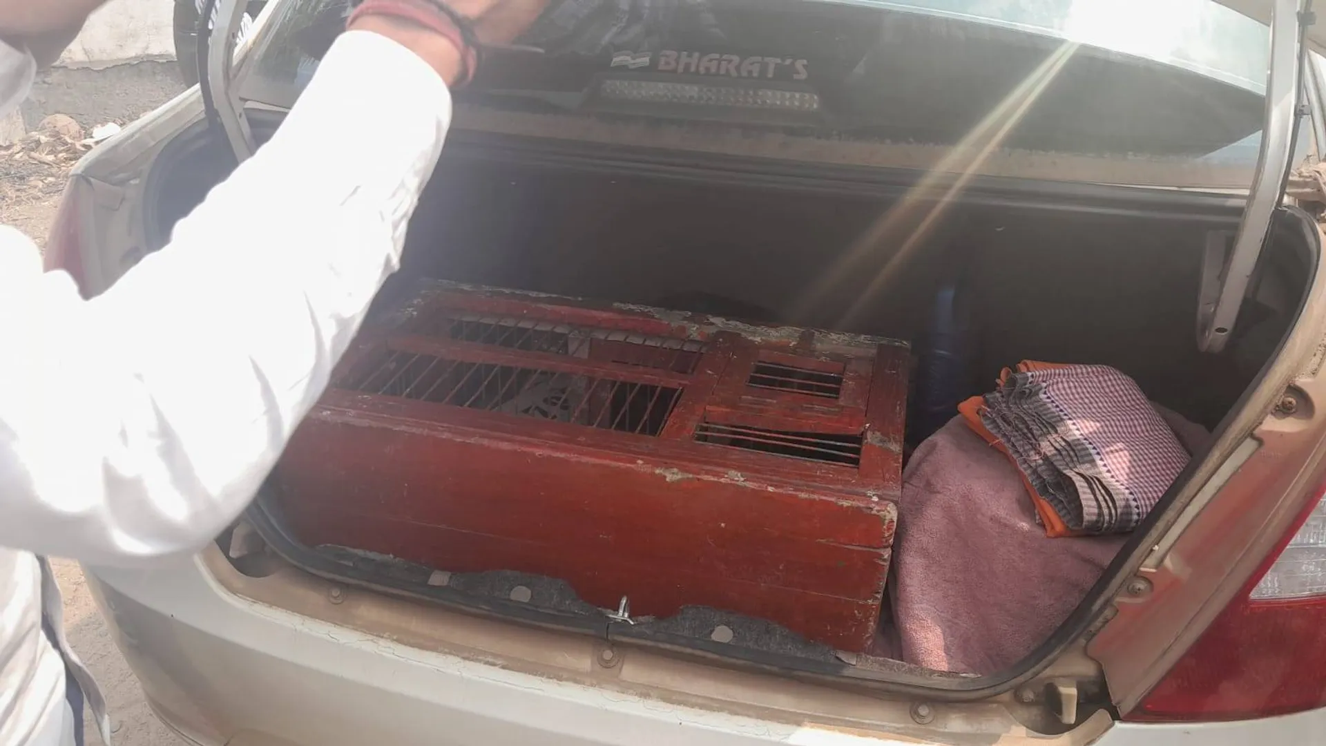 ଫରେନ୍ସିକ ଲ୍ୟାବ୍‌ରେ ପହଞ୍ଚିଲା ପାରାଦୀପରୁ ଧରା ପଡ଼ିଥିବା ସନ୍ଦିଗ୍ଧ ପାରା