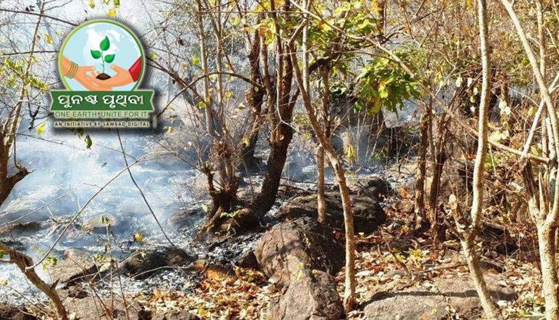 ମେଘୁଆ ପାଗ  ଆଣିଲା ଆଶ୍ବସ୍ତି: ବନାଗ୍ନି କମିଲା