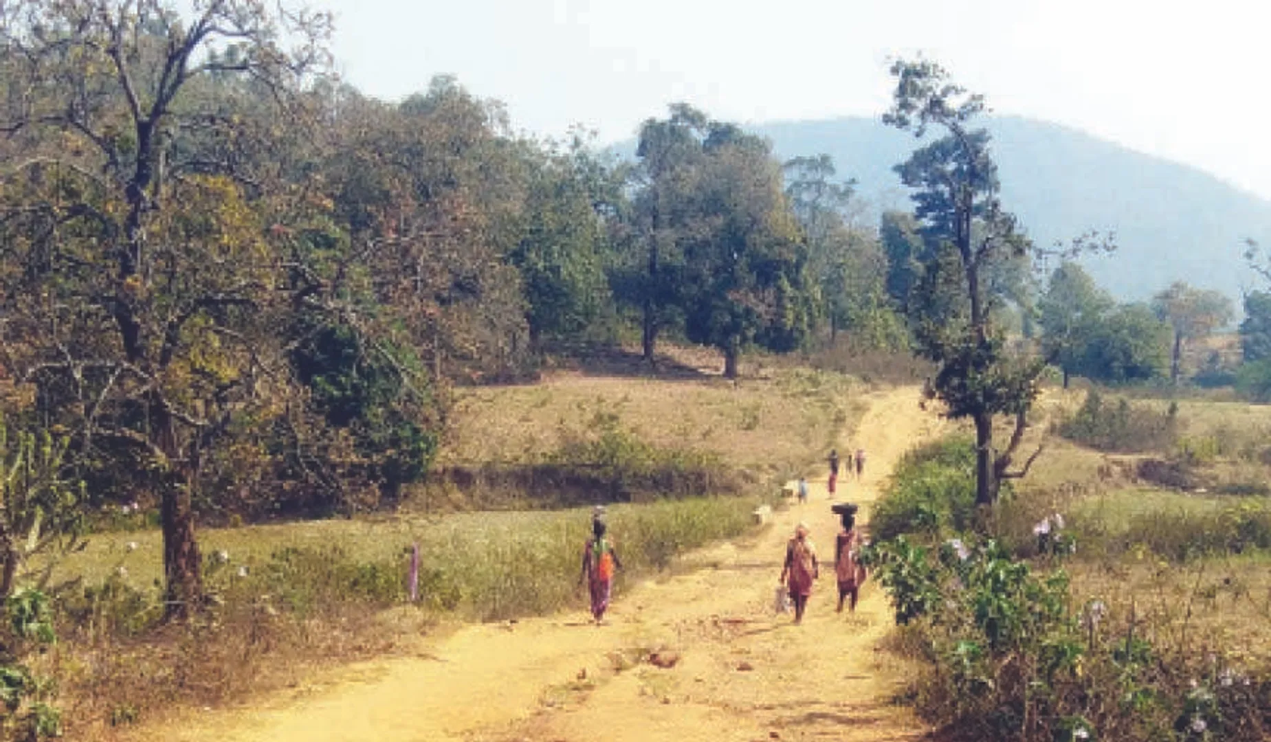 ମୌଳିକ ସୁବିଧାରୁ ବଞ୍ଚିତ ଡମୁଗୁଡ଼ା ଗ୍ରାମବାସୀ: ଗାଁକୁ ନାହିଁ ପକ୍କା ରାସ୍ତା, ବିଜୁଳି ଆଲୁଅ ସାତ ସପନ