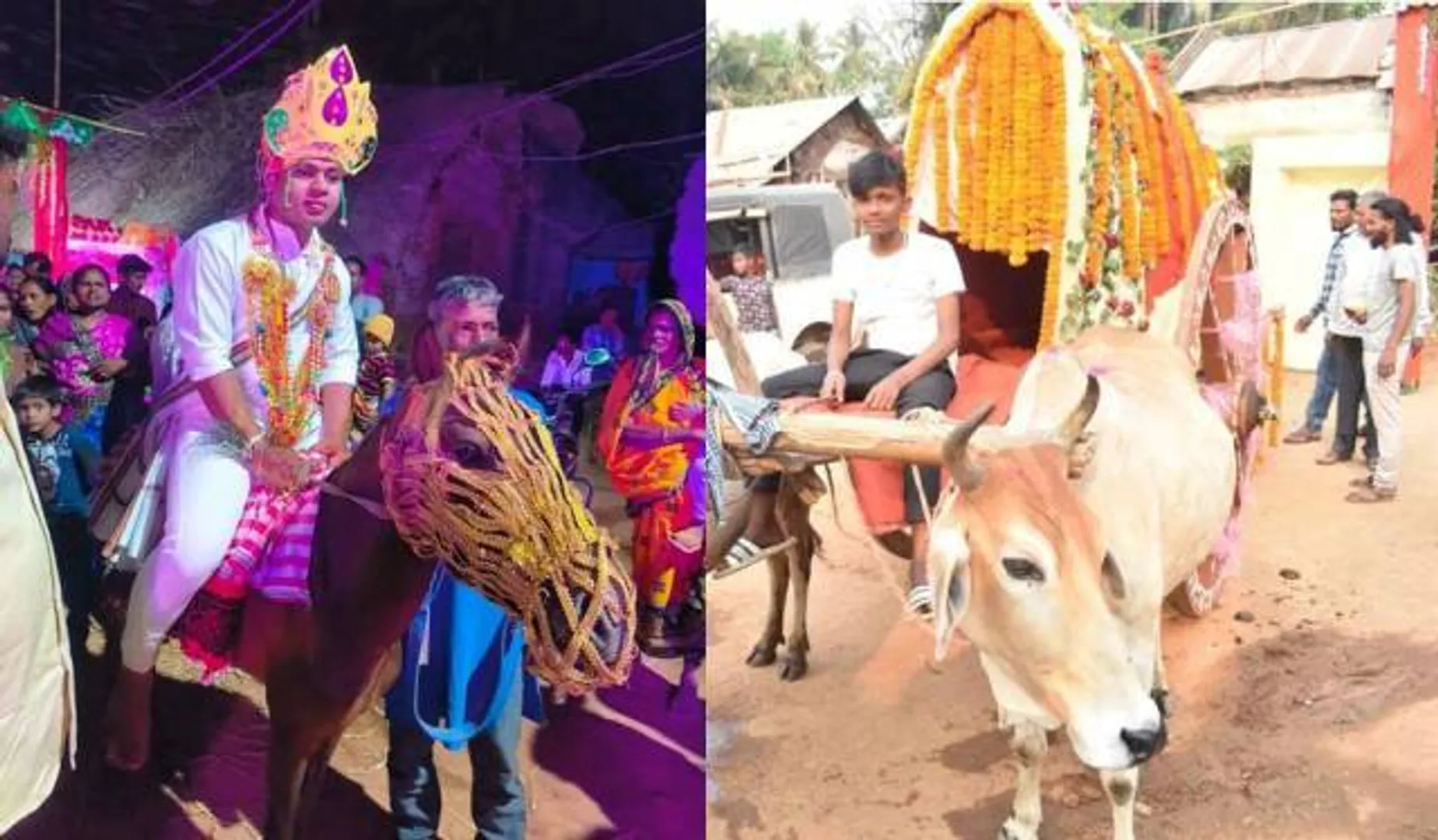 ଆଧୁନିକ ଯୁଗରେ ପୁରୁଣା ପରମ୍ପରାର ଛୁଙ୍କ: ଶଗଡ଼ରେ ଆସିଲେ କନ୍ୟା, ଘୋଡ଼ାରେ ବର