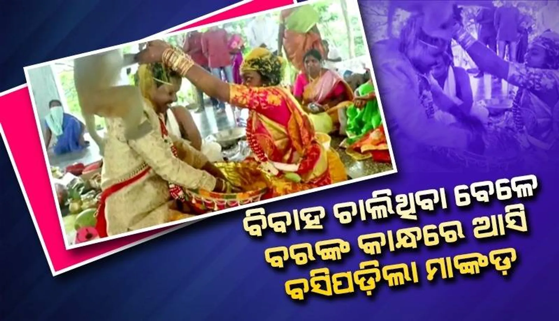 ବେଦିରେ ବିବାହ ଚାଲିଥିବା ବେଳେ ହଠାତ ଡିଆଁ ମାରି ବରଙ୍କ କାନ୍ଧ ଉପରେ ମାଙ୍କଡ଼ ବସି କଲା ଏଭଳି କାମ…