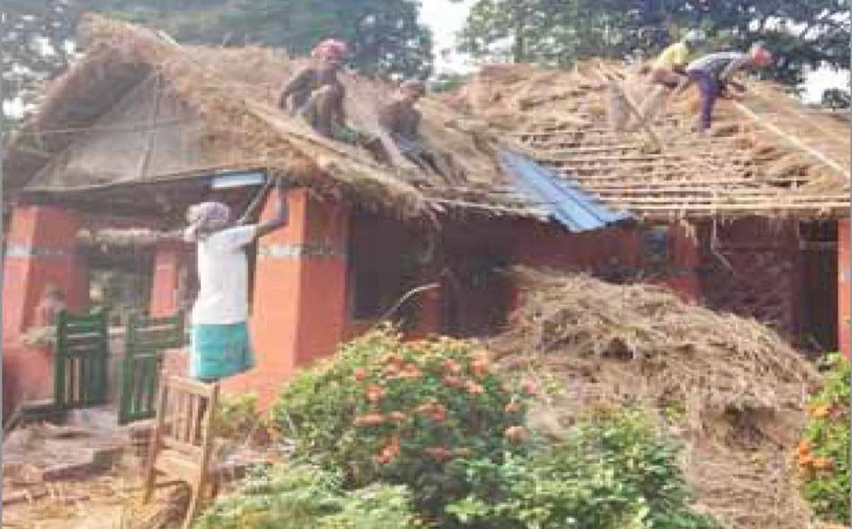 ବର୍ଷା ପୂର୍ବରୁ ସଜାଡ଼ିଲେ ନୁମା-ବାପିଙ୍କ କୁଟୀର: ଚାଳିଆରୁ ହଟିଲା ପଲିଥିନ୍‌, ‌ହେଲା ନୂଆ ଛପର