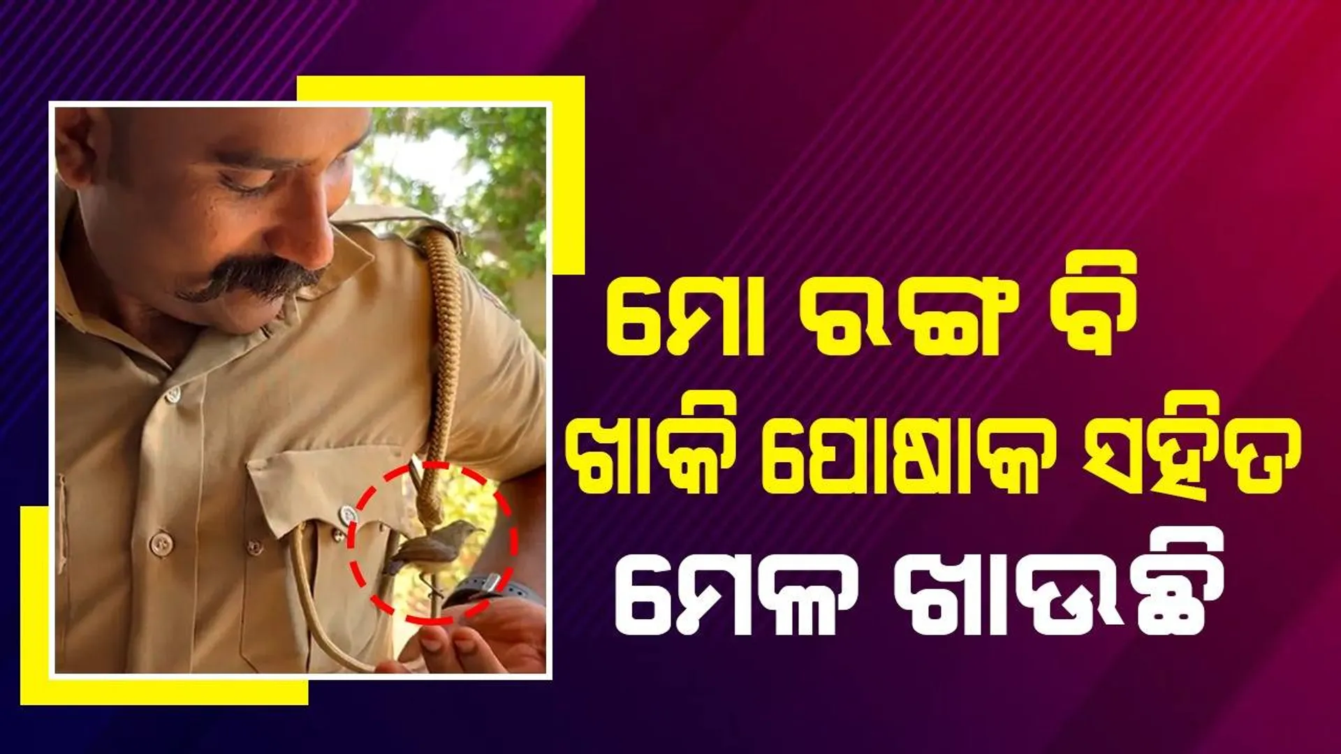ଖାକି ପୋଷାକରେ ଆସି ବସିପଡ଼ିଥିବା ଚଢ଼େଇକୁ ଫୁଲରସ ପିଆଉଛନ୍ତି ପୁଲିସ