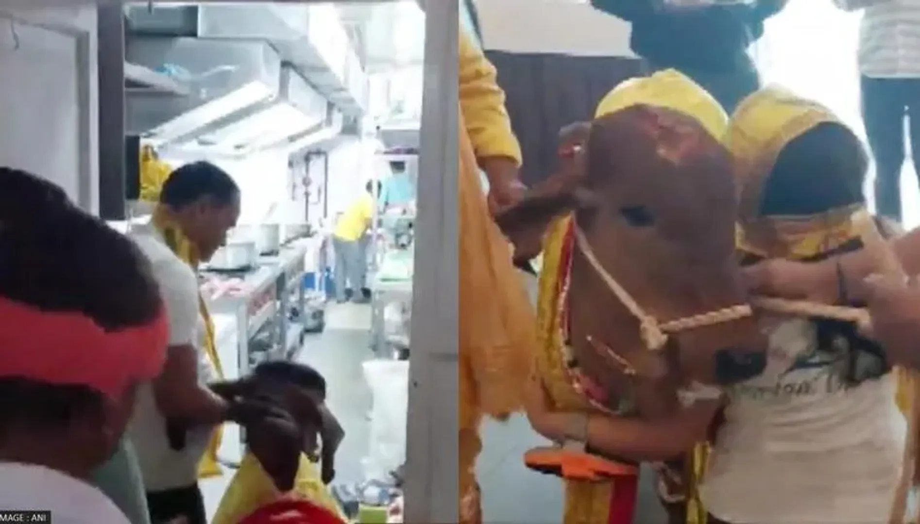 ଏହି କାରଣରୁ ଗାଈ ଦ୍ବାରା ରେସ୍ତୋରାଁ ଉଦ୍‌ଘାଟନ କଲେ ପୂର୍ବତନ ଡେପୁଟି ଏସପି