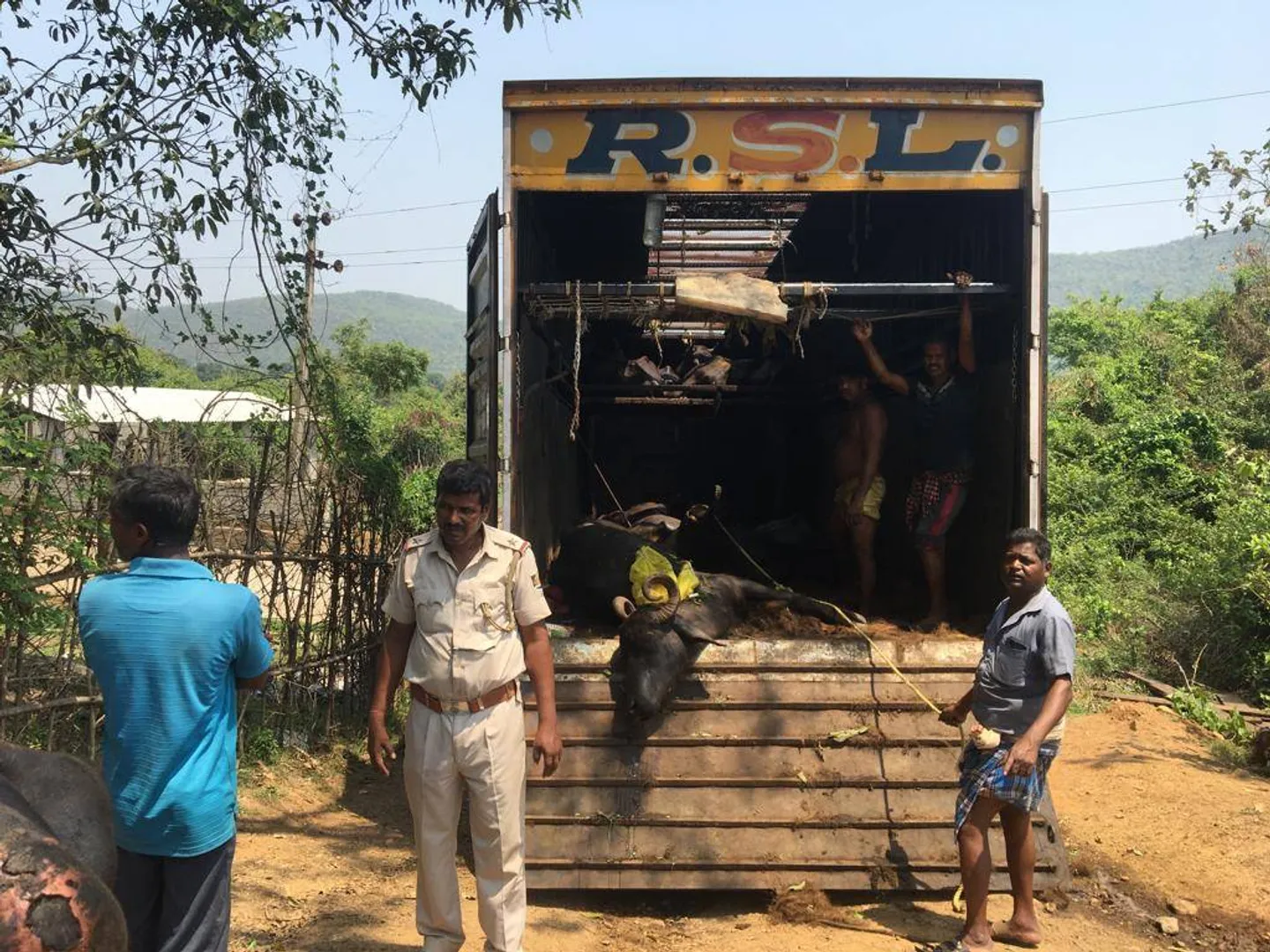 ବେଆଇନ ମଇଁଷି ଚାଲାଣ, କଂଟେନର ଜବତ 