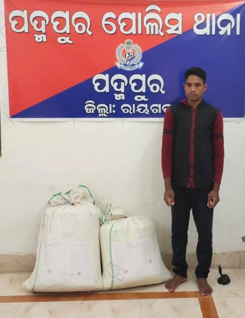 ଅଟୋରିକ୍ସାରେ ଗଂଜେଇ ନେଉଥିବା ବେଳେ ଧରାପଡିଲା