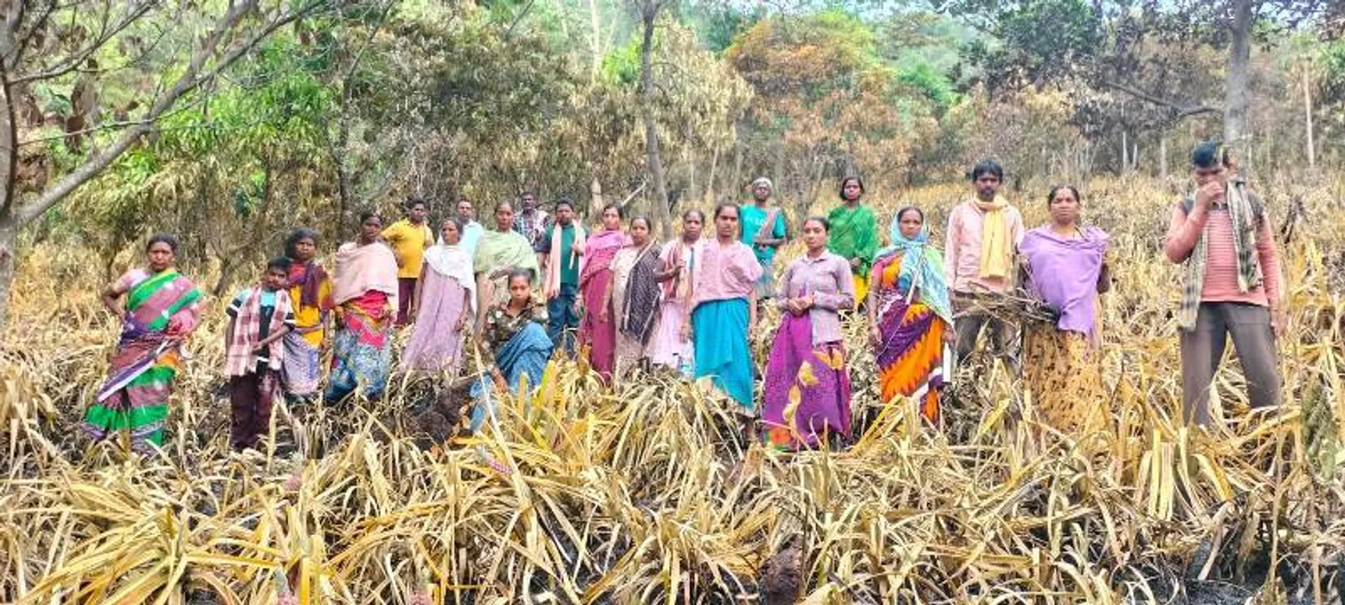 ନିଆଁ ଲାଗି ପାଉଁଶ ହୋଇଗଲା ୧୦୦ ଏକରରୁ ଊର୍ଦ୍ଧ୍ବ ସପୁରୀ ବଗିଚା