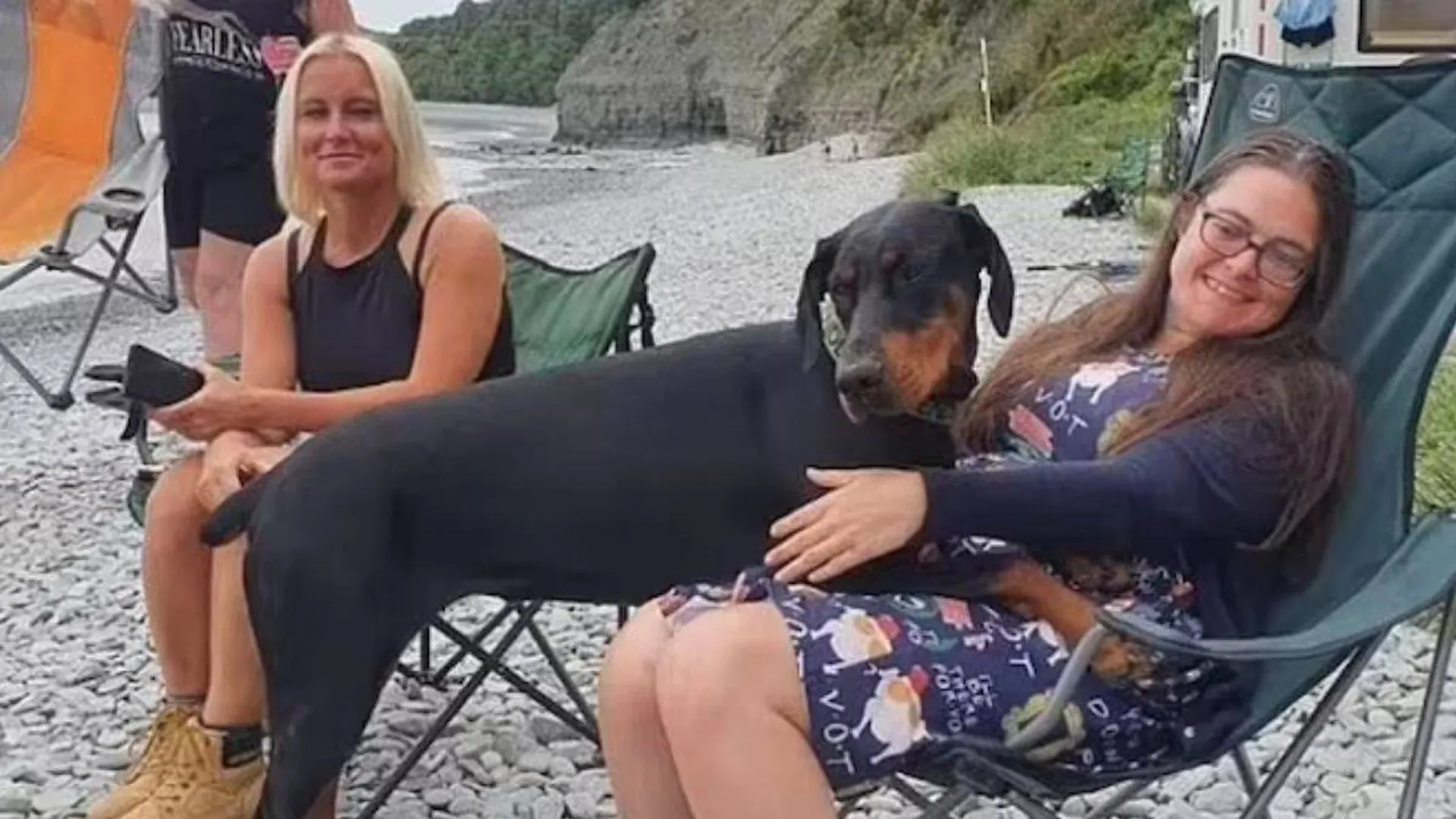 ଅସୁସ୍ଥ ମାଲିକାଣୀଙ୍କ ପାଇଁ ୨.୨ କୋଟି ଲୋକଙ୍କ ମଧ୍ୟରୁ କିଡନି ଦାତାଙ୍କୁ ଖୋଜି ଆଣିଲା ପୋଷାକୁକୁର