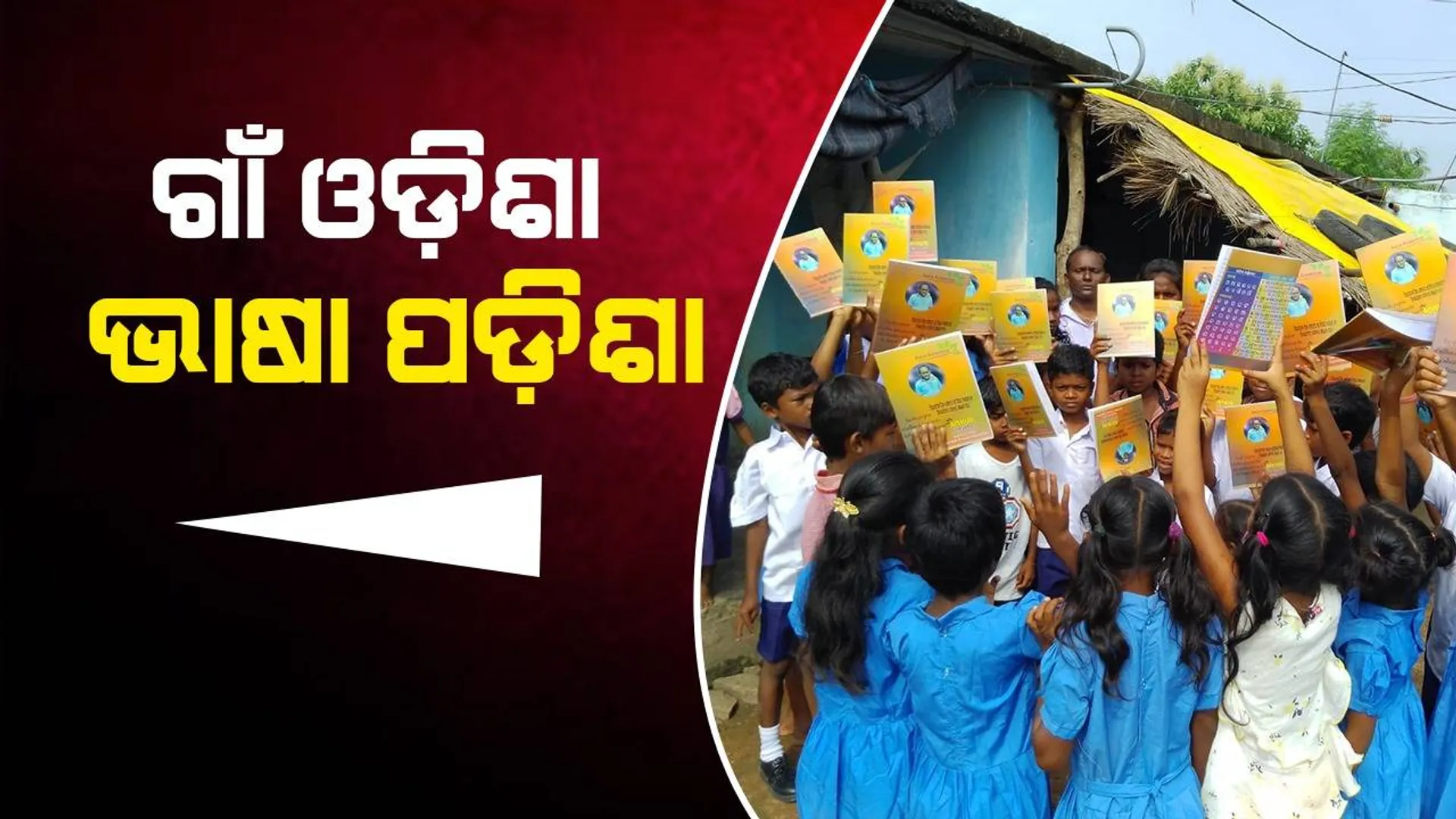 ପିଲା ପଢୁଛନ୍ତି ଓଡ଼ିଆ, କଥା ହେଉଛନ୍ତି ତେଲୁଗୁ; ଆଡ଼ପାଟିଗୁଡ଼ାକୁ ପୋଷ୍ୟ ଗ୍ରାମ ରୂପେ ଗ୍ରହଣ କଲା ଘରୋଇ ସଂସ୍ଥା