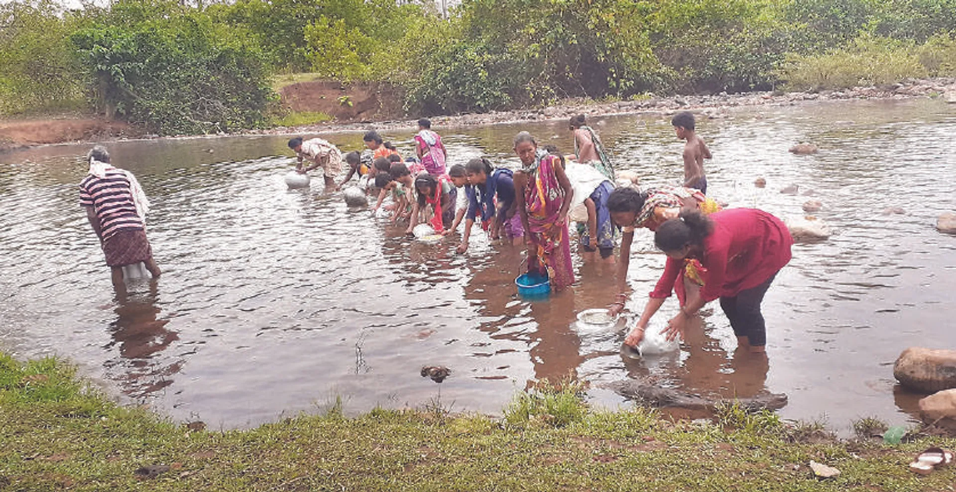 ଜଙ୍ଗଲ ଡେଇଁ ନାଳରୁ ଆଣୁଛନ୍ତି ପିଇବା ପାଣି; ନଳକୂଅରୁ ନାଲିପାଣି, କୂଅ ଶୁଖିଲା