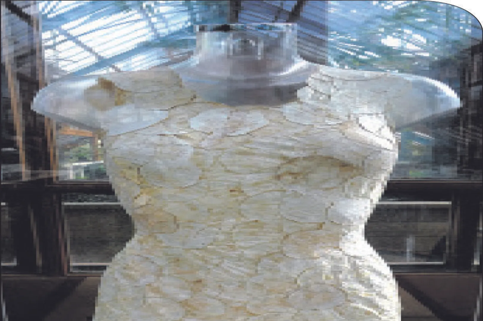 କଦଳୀ, କ୍ଷୀର ଓ ଛତୁରୁ ପୋଷାକ