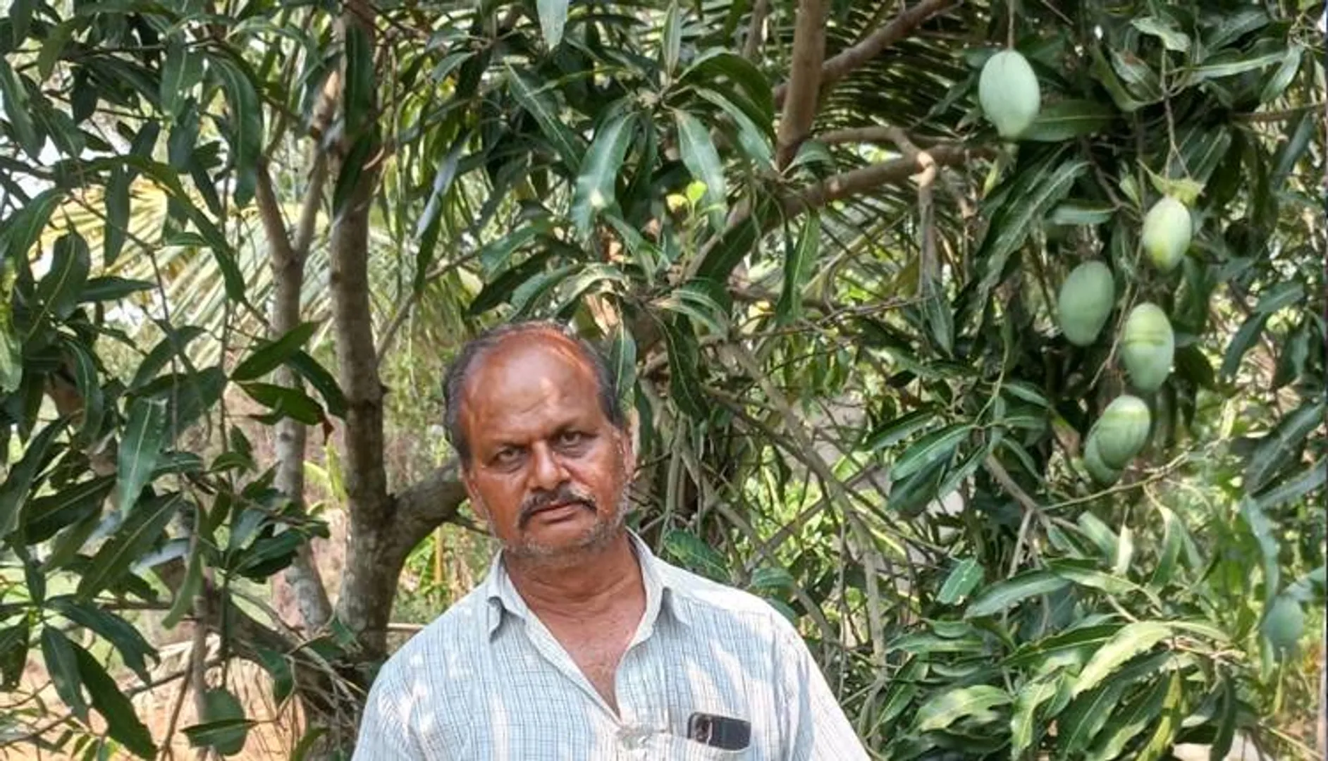 ଅବସର ପରେ ଚାଷରେ ମନ ଲଗାଇଛନ୍ତି ରାମେଶ୍ୱର