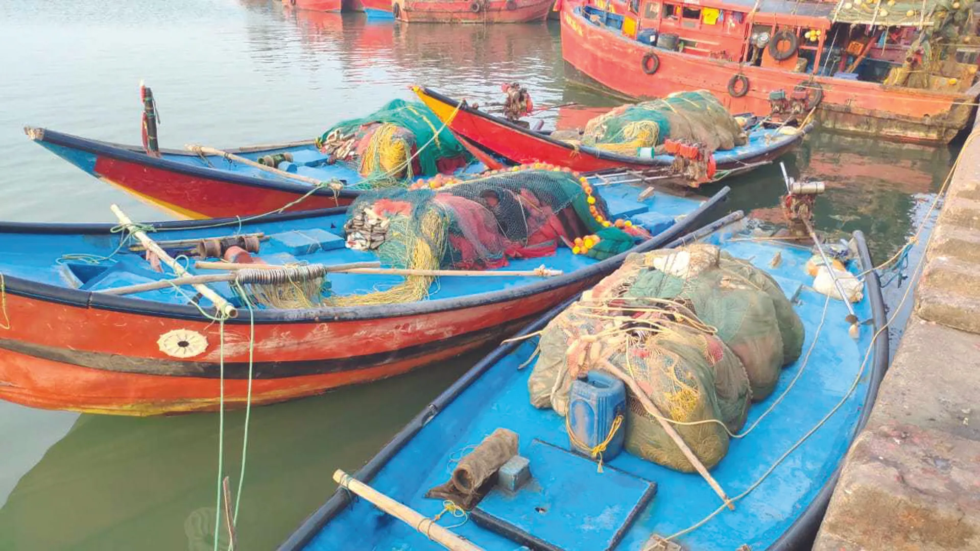 ବାଲିପ୍ଲଟ୍‌କୁ ଏତେ ମାଛ ଆସୁଛି କେଉଁଠୁ?