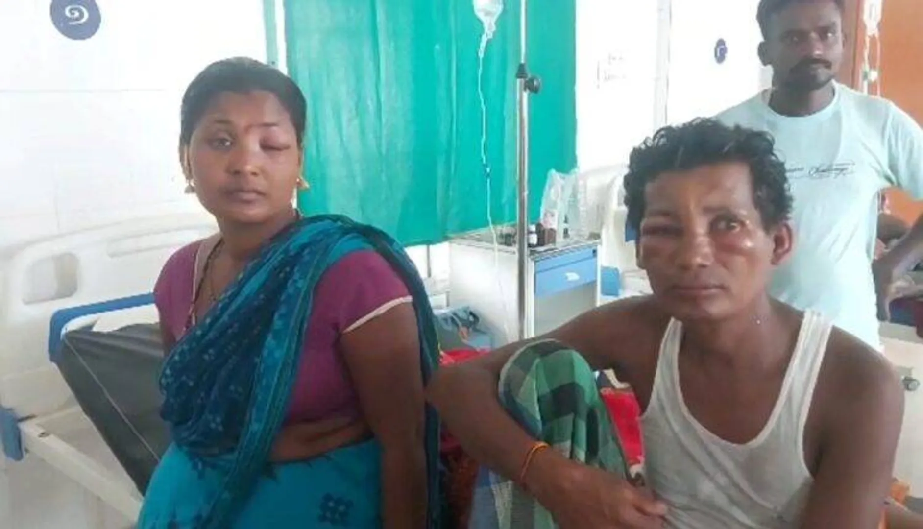 ମହୁମାଛି ଆକ୍ରମଣରେ ୧୫ ଗୁରୁତର