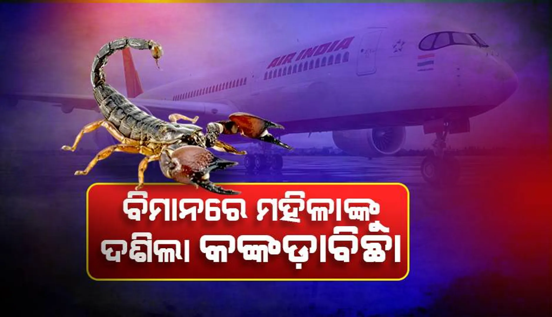 ଏୟାର୍‌ ଇଣ୍ଡିଆର ନାଗପୁର-ମୁମ୍ବାଇ ବିମାନରେ ମହିଳାଙ୍କୁ ଦଂଶିଲା କଙ୍କଡ଼ାବିଛା