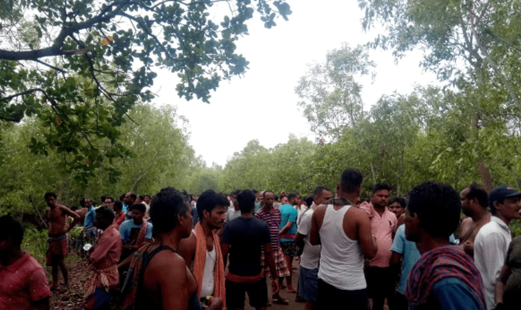 କୂଅ ଖୋଳିବାକୁ ଯାଉଥିଲେ ଶ୍ରମିକ, ବାଟରେ ଦଳିଦେଲା ହାତୀ