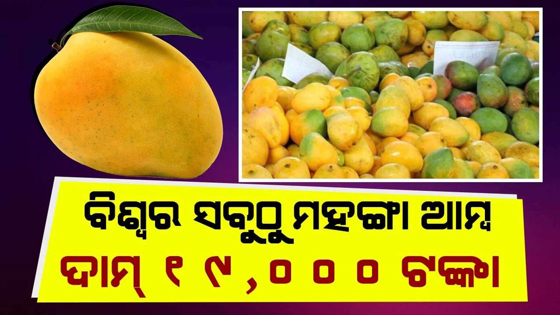 ବିଶ୍ବର ସବୁଠୁ ମହଙ୍ଗା ଆମ୍ବ ଦାମ୍ ୧୯,୦୦୦ ଟଙ୍କା