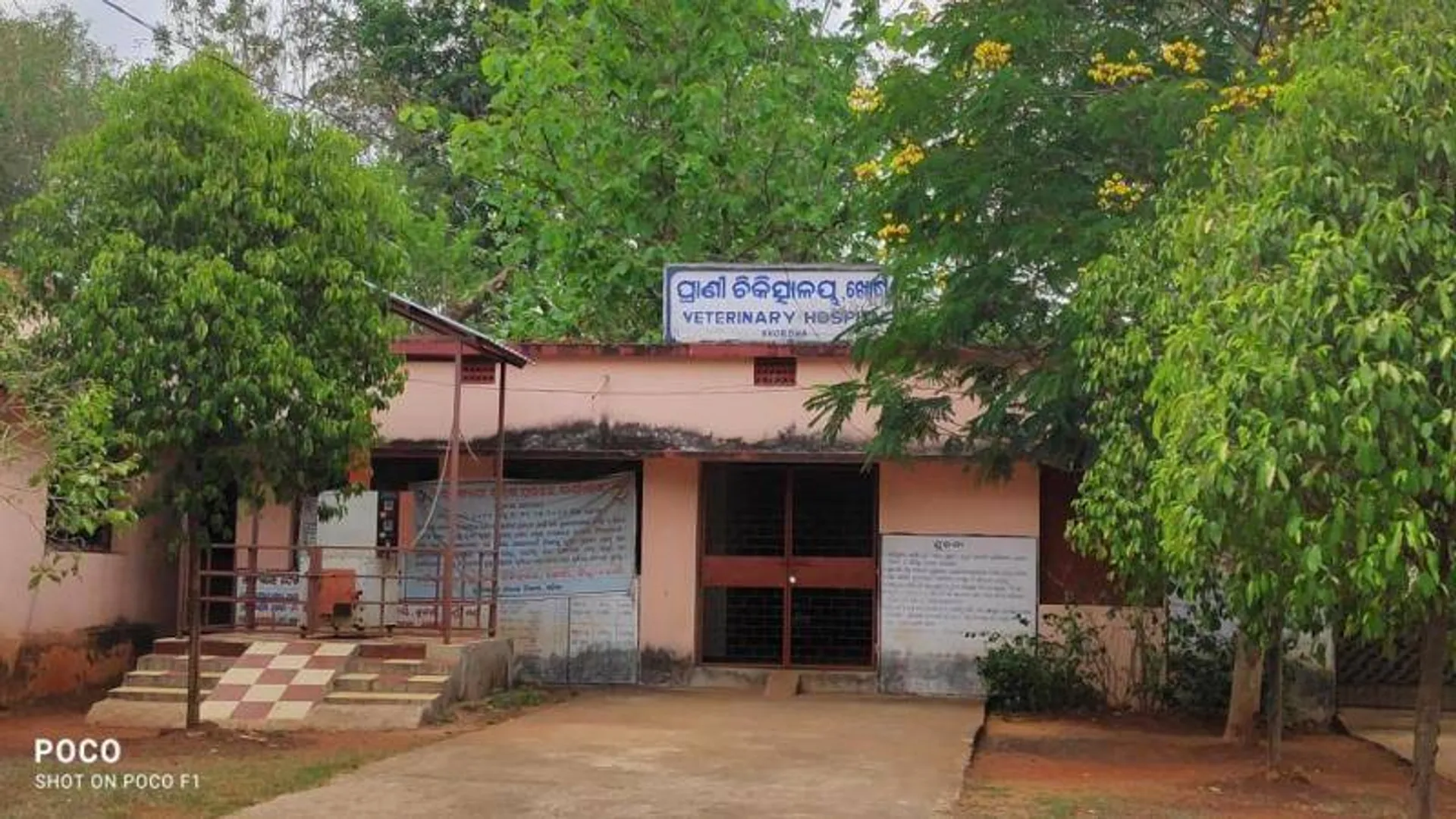 ଜିଲ୍ଲାର ୩୨ ପ୍ରାଣୀ ଚିକିତ୍ସକଙ୍କ ସାମୂହିକ ଇସ୍ତଫା ଜିଦ୍, ବିପଦରେ ୫ଲକ୍ଷ ଗୃହପାଳିତ ପଶୁପକ୍ଷୀ