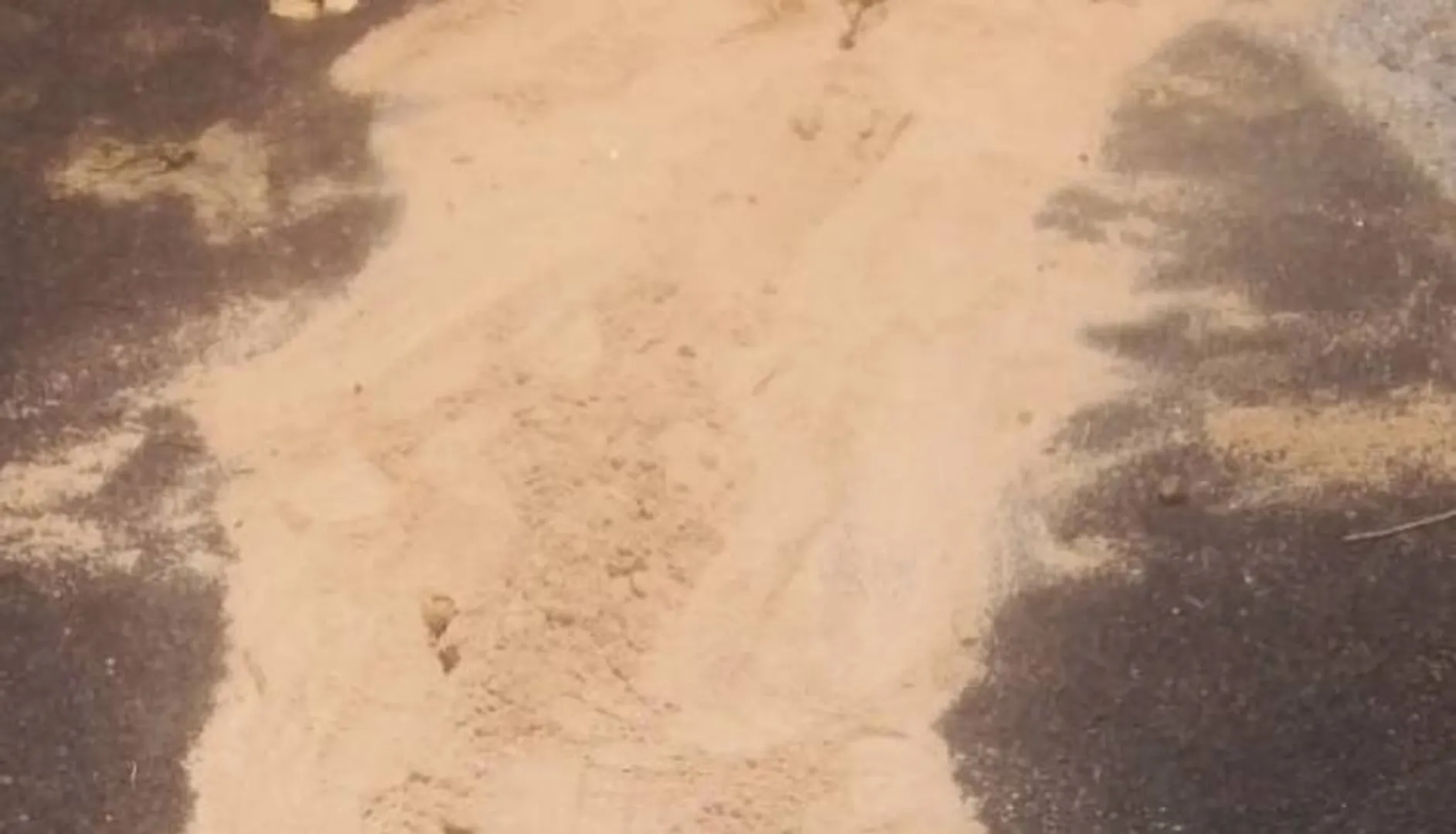 ୫୪ ଟ୍ରକ୍‌ କଳା ତାଲିକାଭୁକ୍ତ, ରାସ୍ତା ଜାମ୍‌ ହଟିଲା