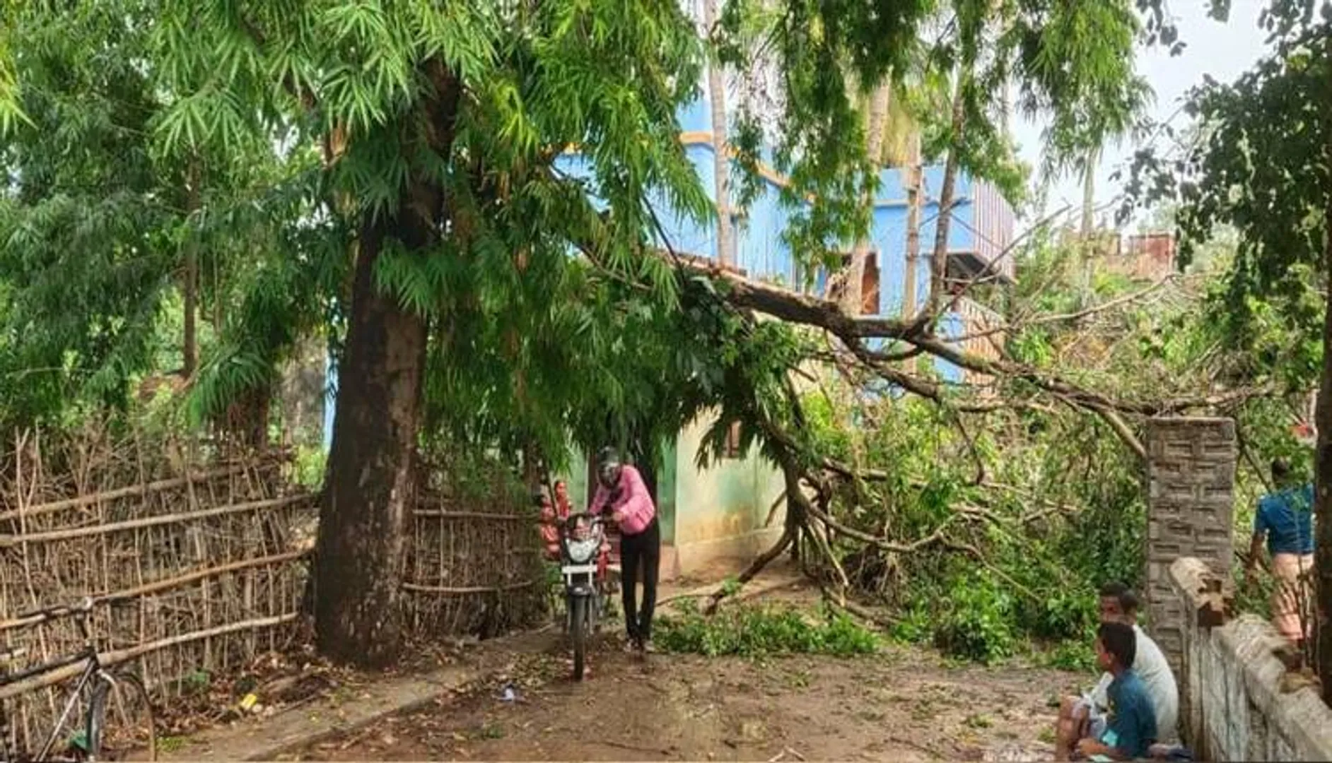 ଭଦ୍ରକରେ କାଳ ବୈଶାଖୀ ,ଗଛ ପତ୍ର ପଡି ରାସ୍ତା ଅବରୋଧ