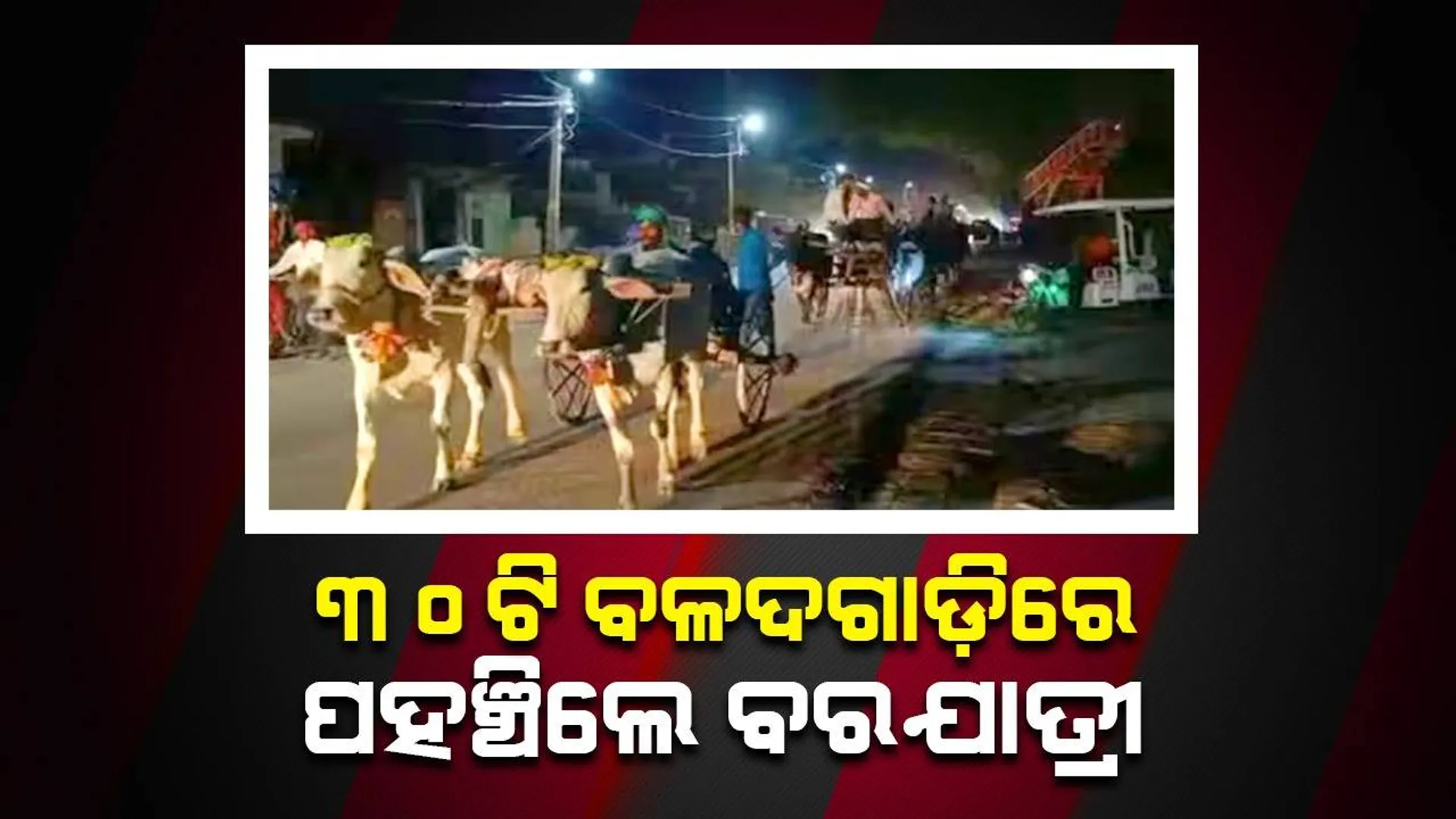 ବର ୩୦ଟି ବଳଦଗାଡ଼ିରେ ବରଯାତ୍ରୀଙ୍କୁ ଧରି ୧୪କିମି ବାଟ ଯାତ୍ରା କରି କନ୍ୟାଙ୍କ ଘରେ ପହଞ୍ଚିଲେ