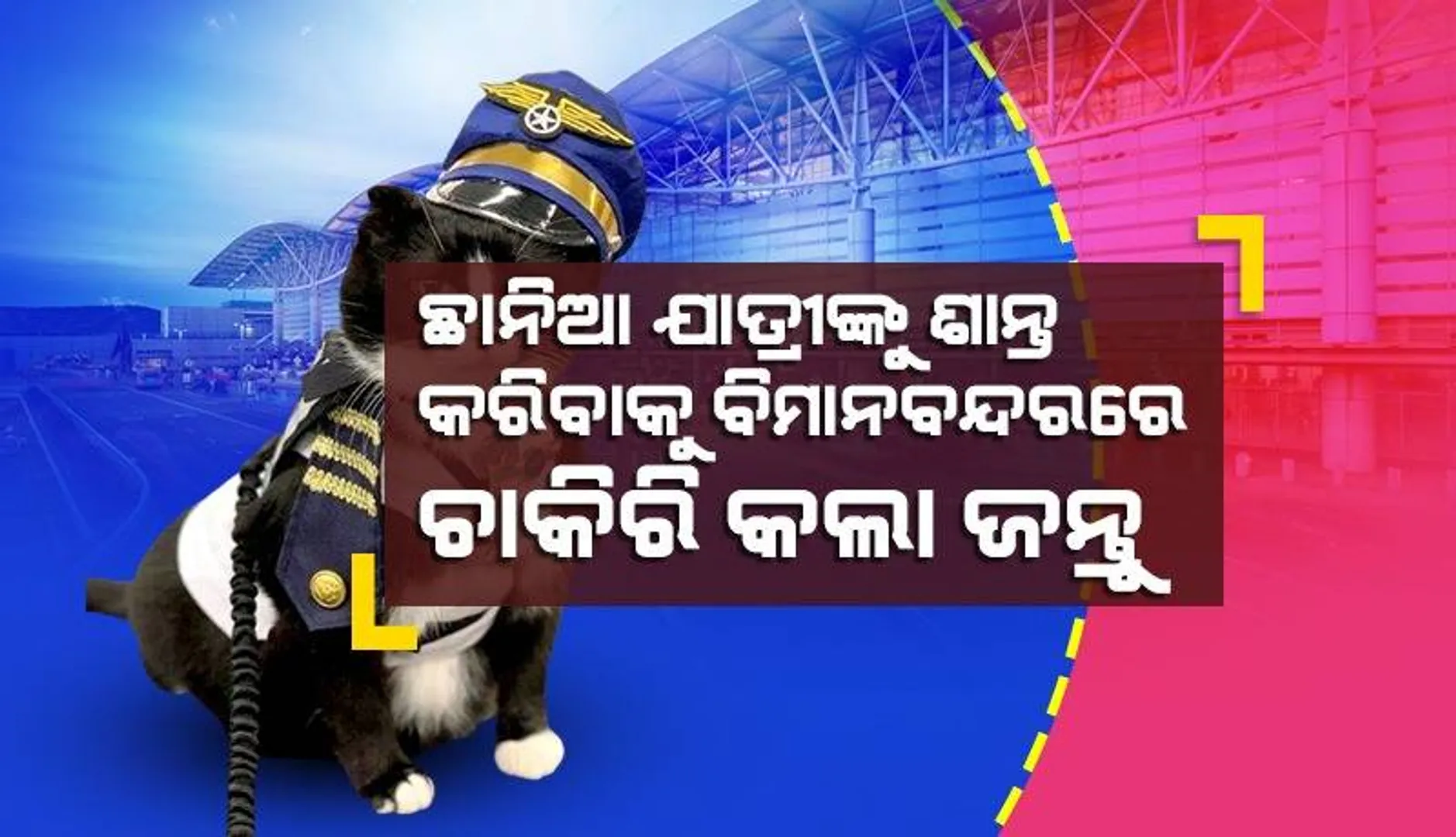 ଛାନିଆ ହେଉଥିବା ବିମାନଯାତ୍ରୀଙ୍କୁ ଶାନ୍ତ କରିବାକୁ ଗୋଟାଏ ଜନ୍ତୁକୁ ଚାକିରି ଦେଲା ଏୟାର୍‌ଲାଇନ୍‌