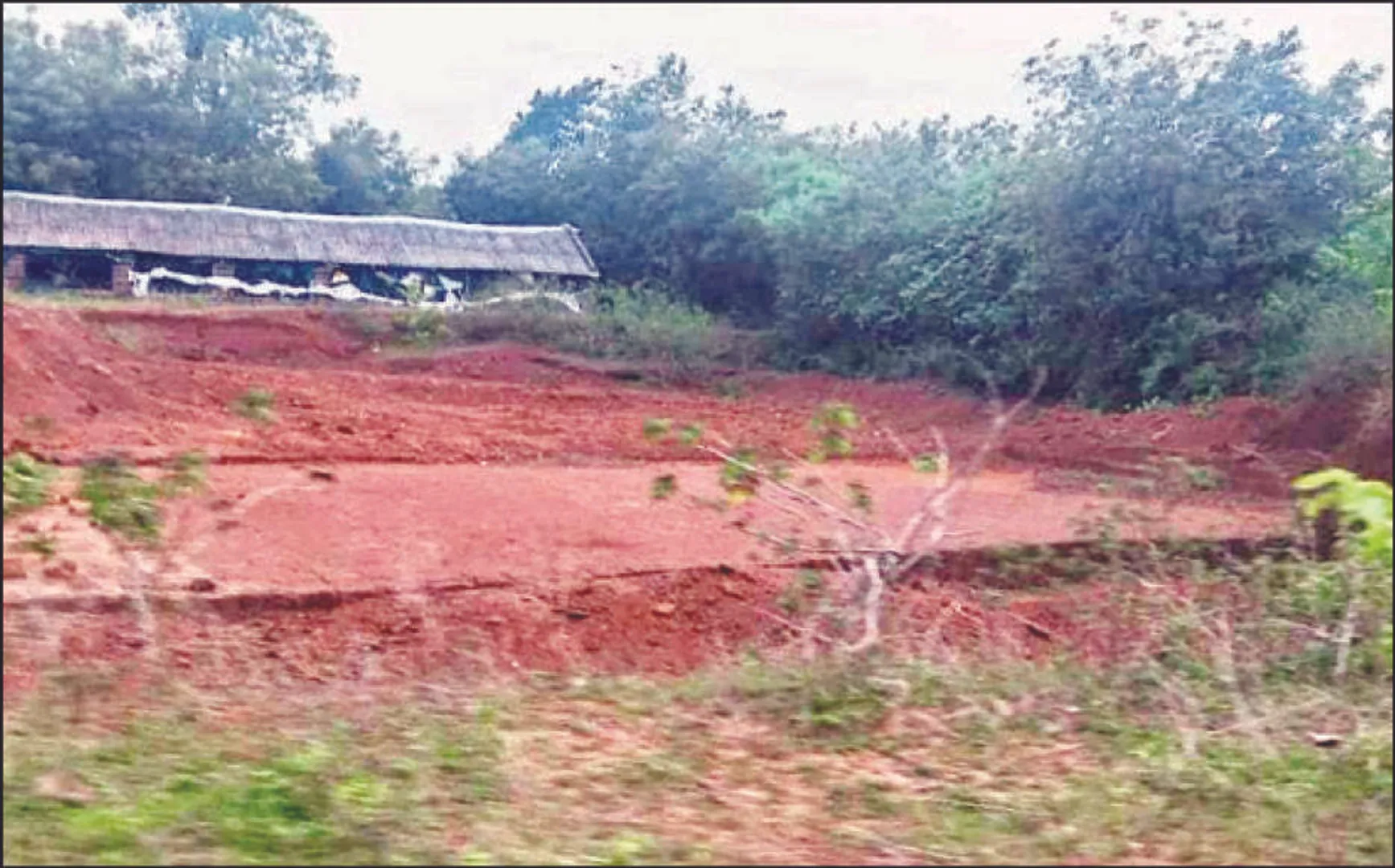 ଯାଜପୁର ଜିଲ୍ଲାରେ କୃଷି ଯୋଜନା ଦିଗହରା: ଶତାଧିକ କ୍ଷେତ ପୋଖରୀ‌ ଚୋରି